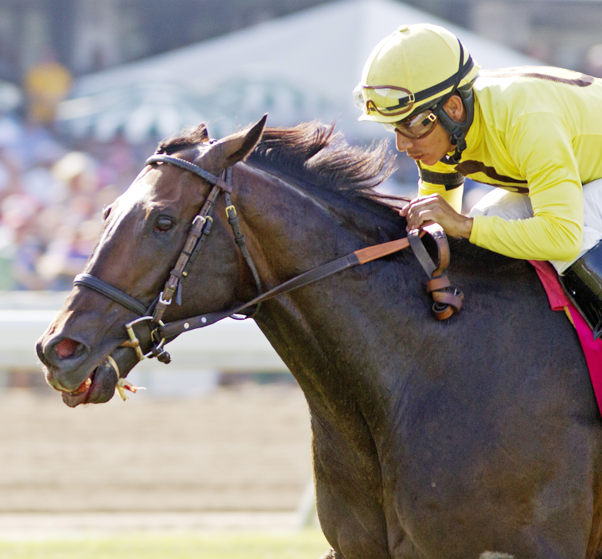 Guys Reward wins the Oceanport Stakes