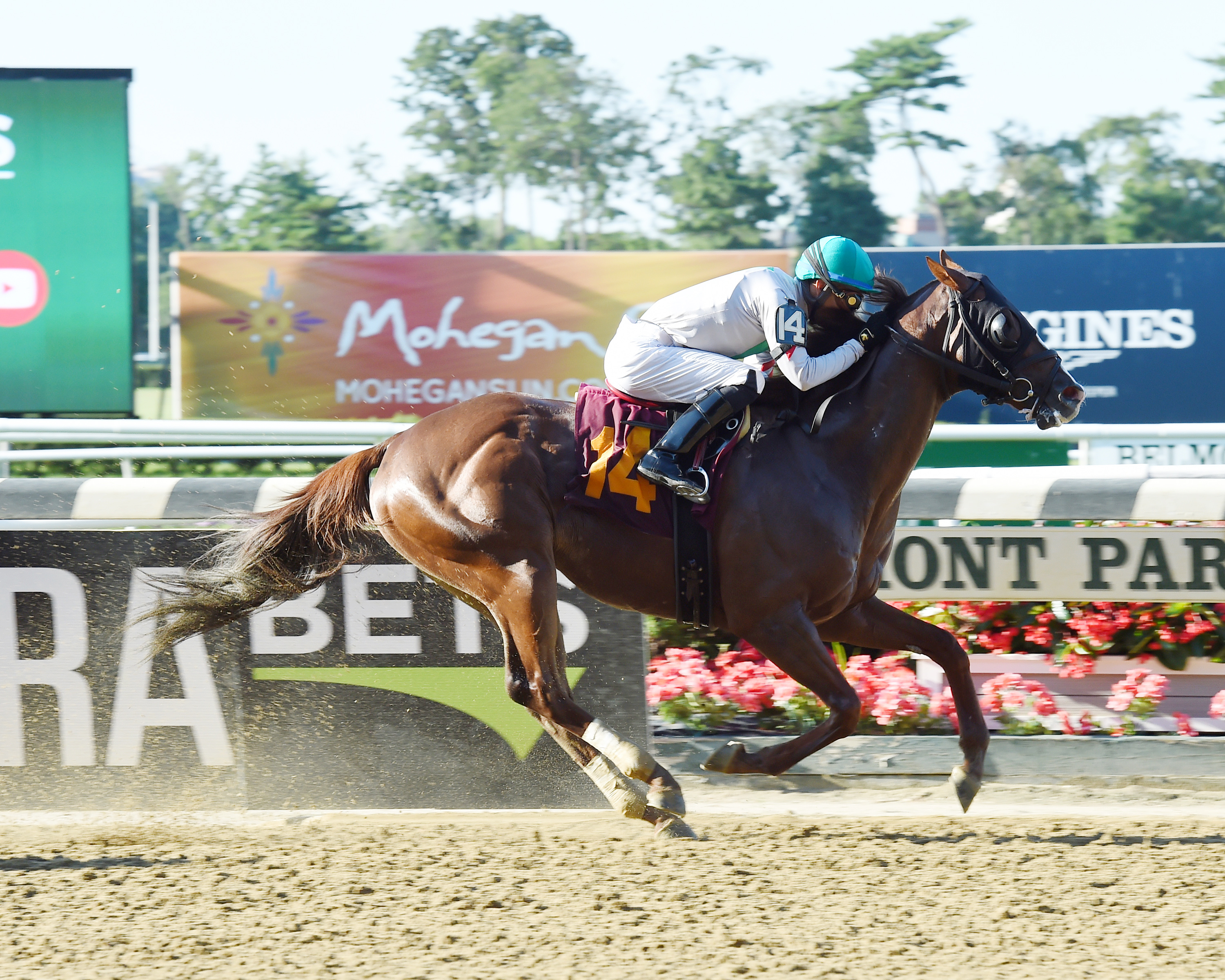 Gypsum Johnny wins a July 7, 2017 allowance win