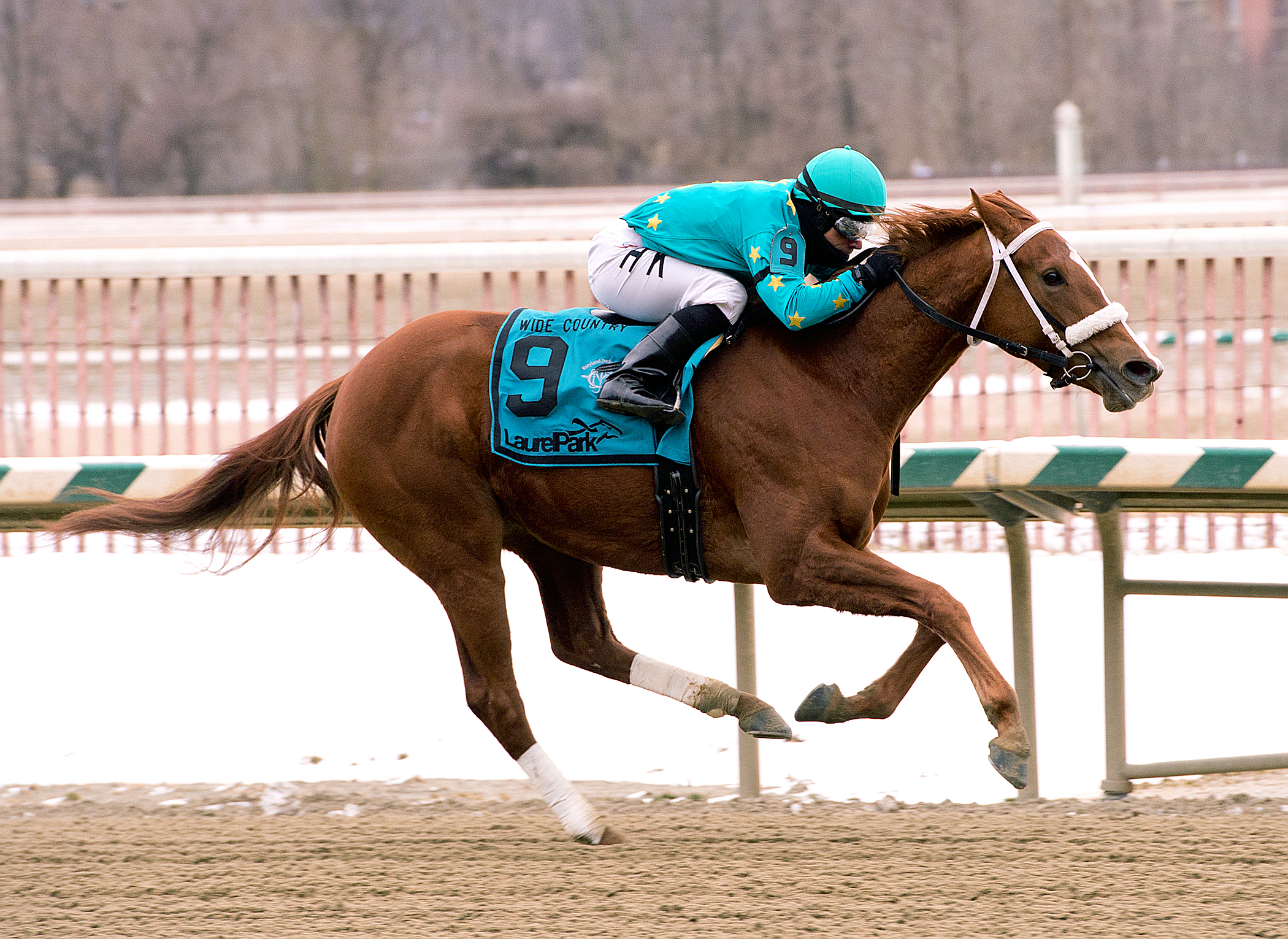 Gypsy Judy wins the Wide Country Stakes