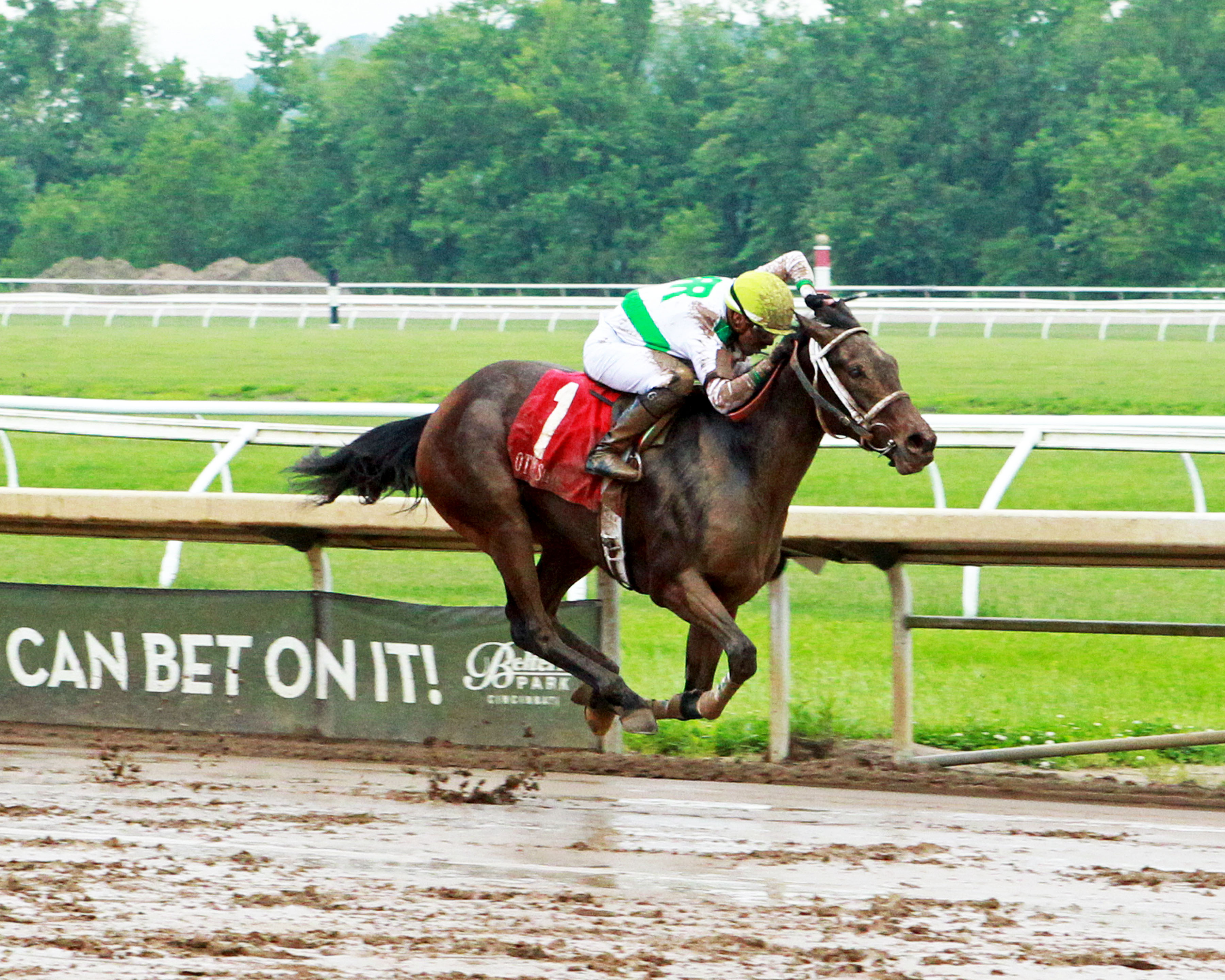 H.F. Carmel wins the 2019 Tomboy Stakes