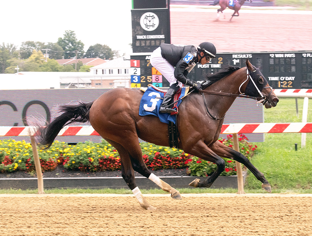 Winter Spectacular - Maryland Jockey Club