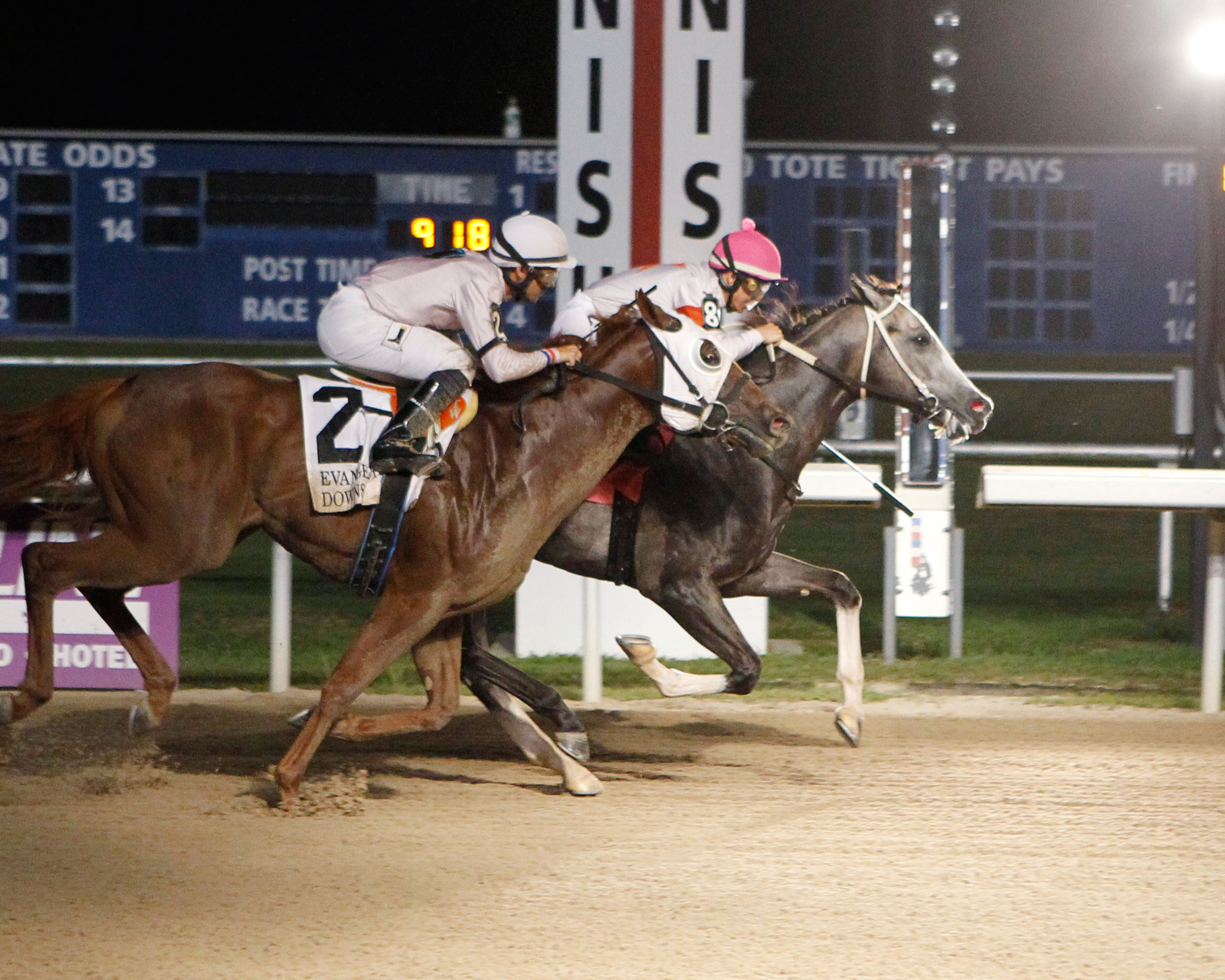 Halfmoon Reef wins the 2019 DS Shine Young Futurity