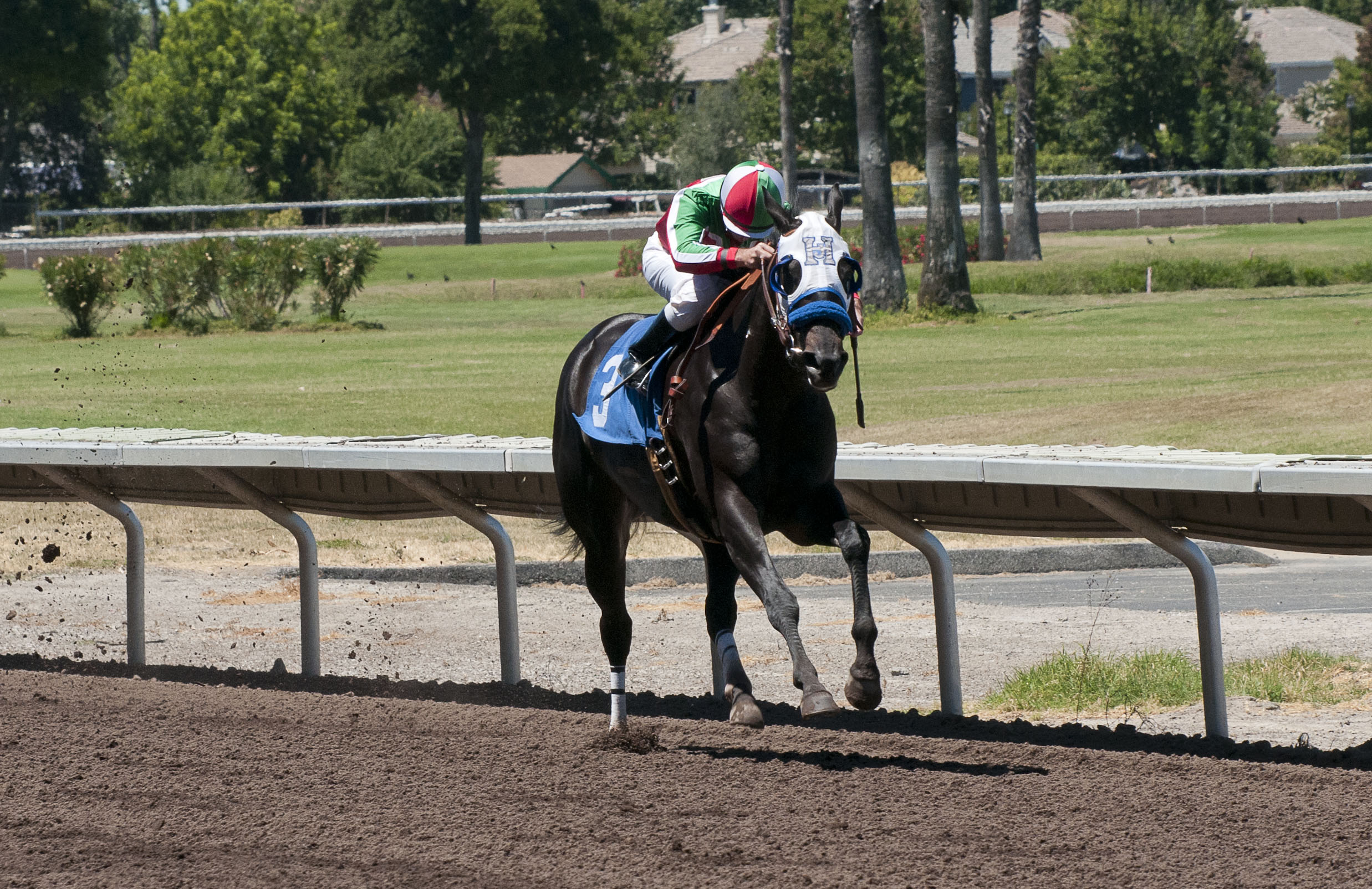 Halo Dolly/Alameda County Fillies & Mares Stakes