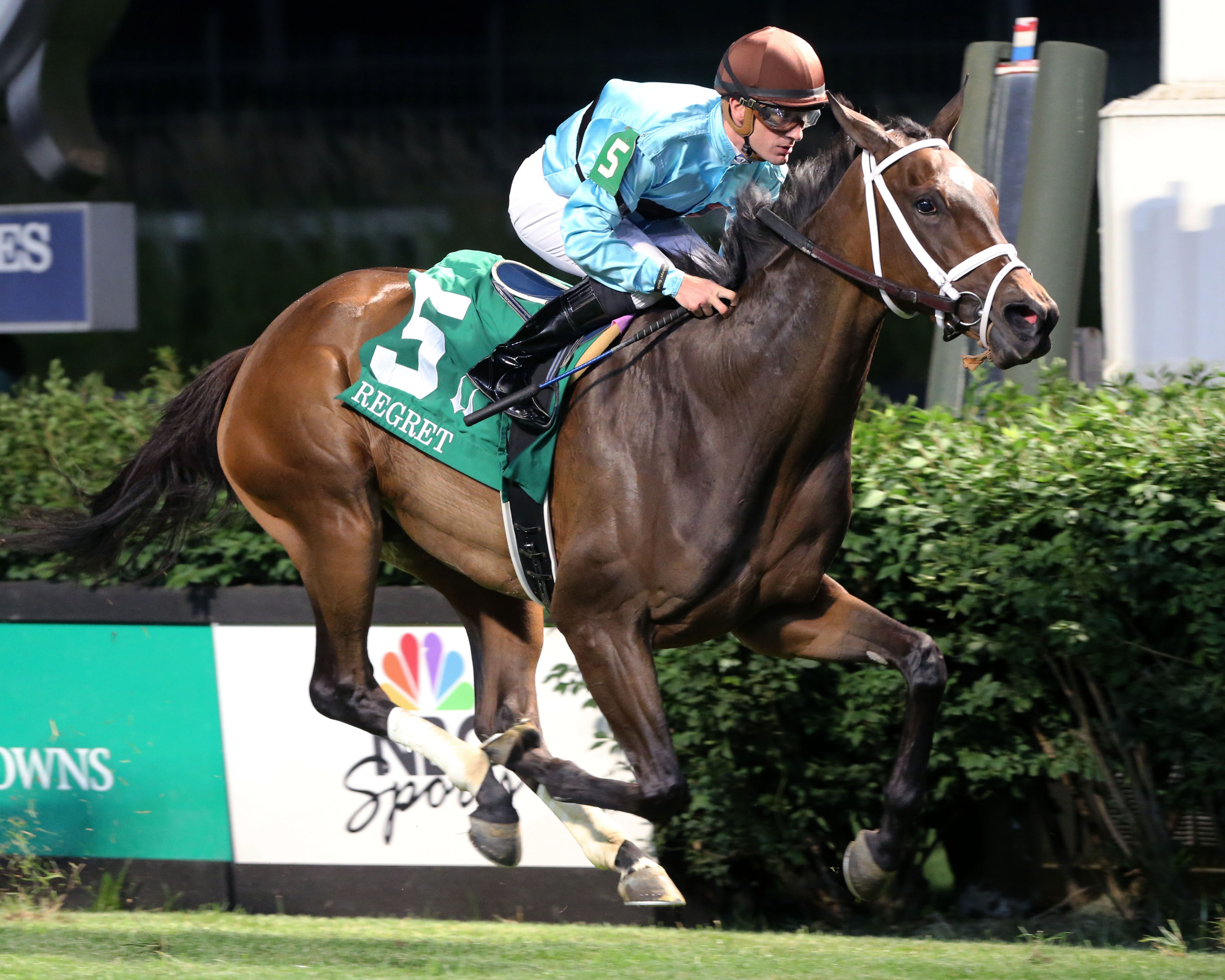 Hard Legacy wins the 2019 Regret Stakes