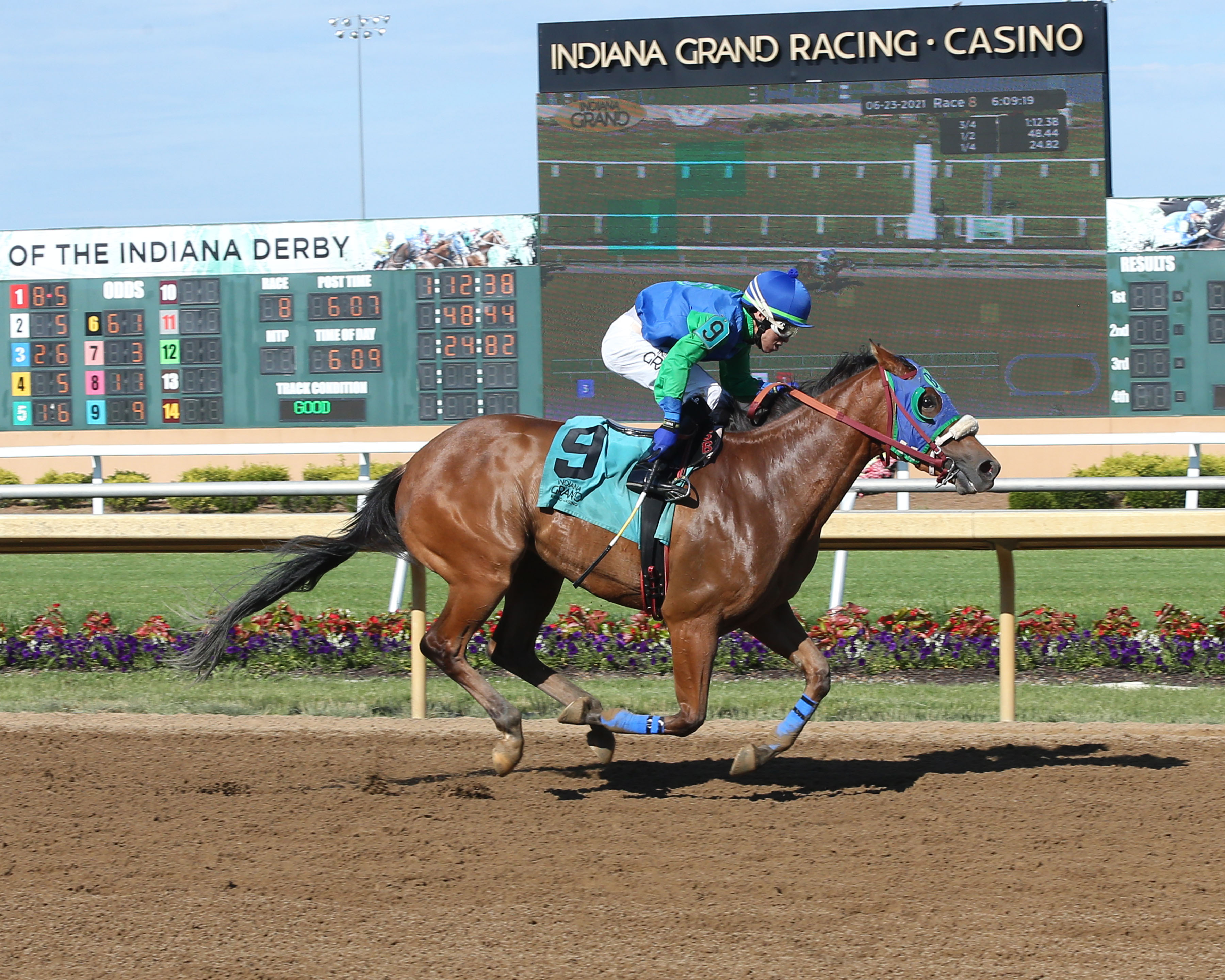 Hard Luck Justice/Hoosier Breeders Sophomore