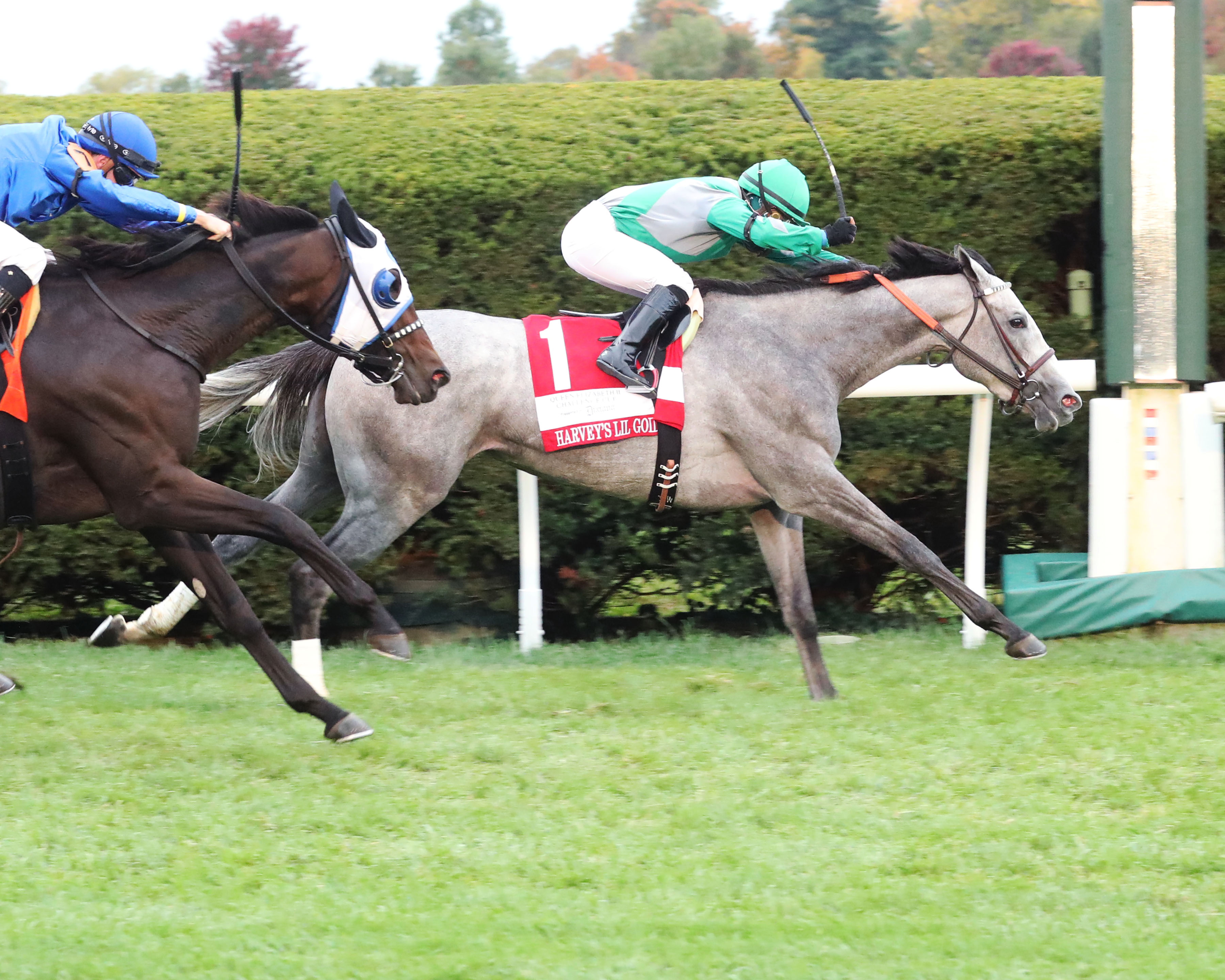 Harvey's Lil Goil wins QEII 10-10-2020