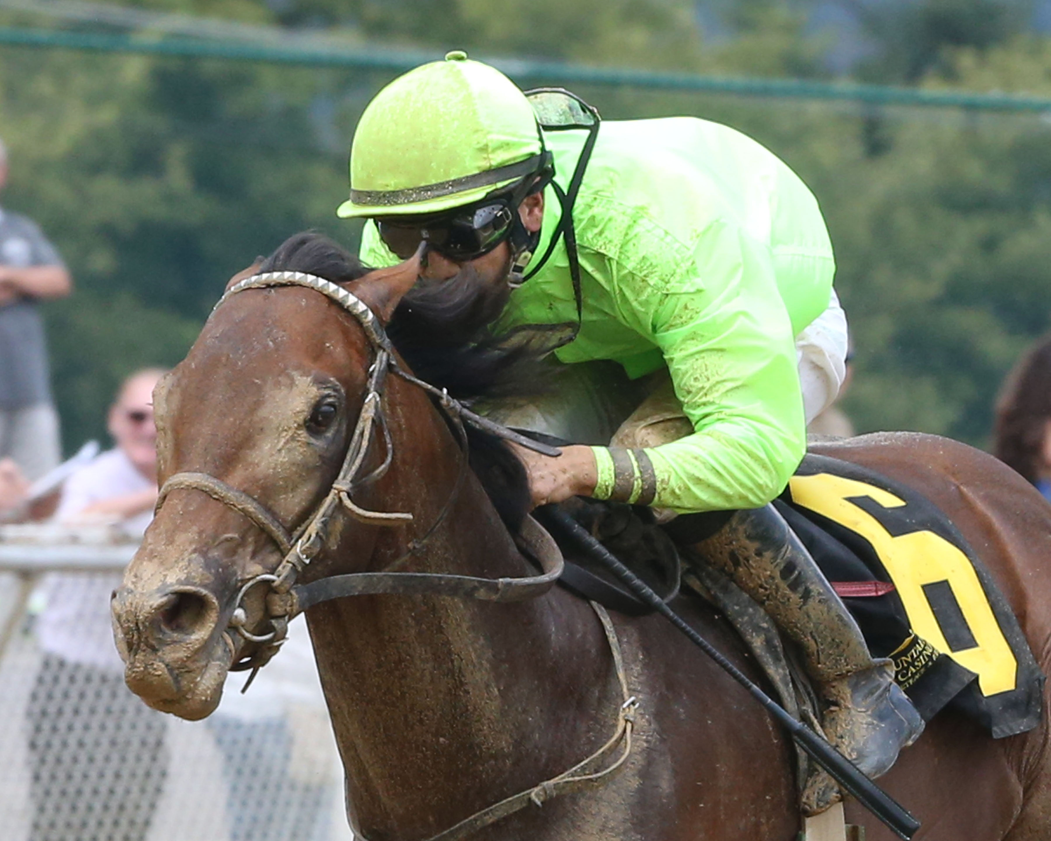 Hashtag Bourbon wins 2014 Mountaineer Juvenile