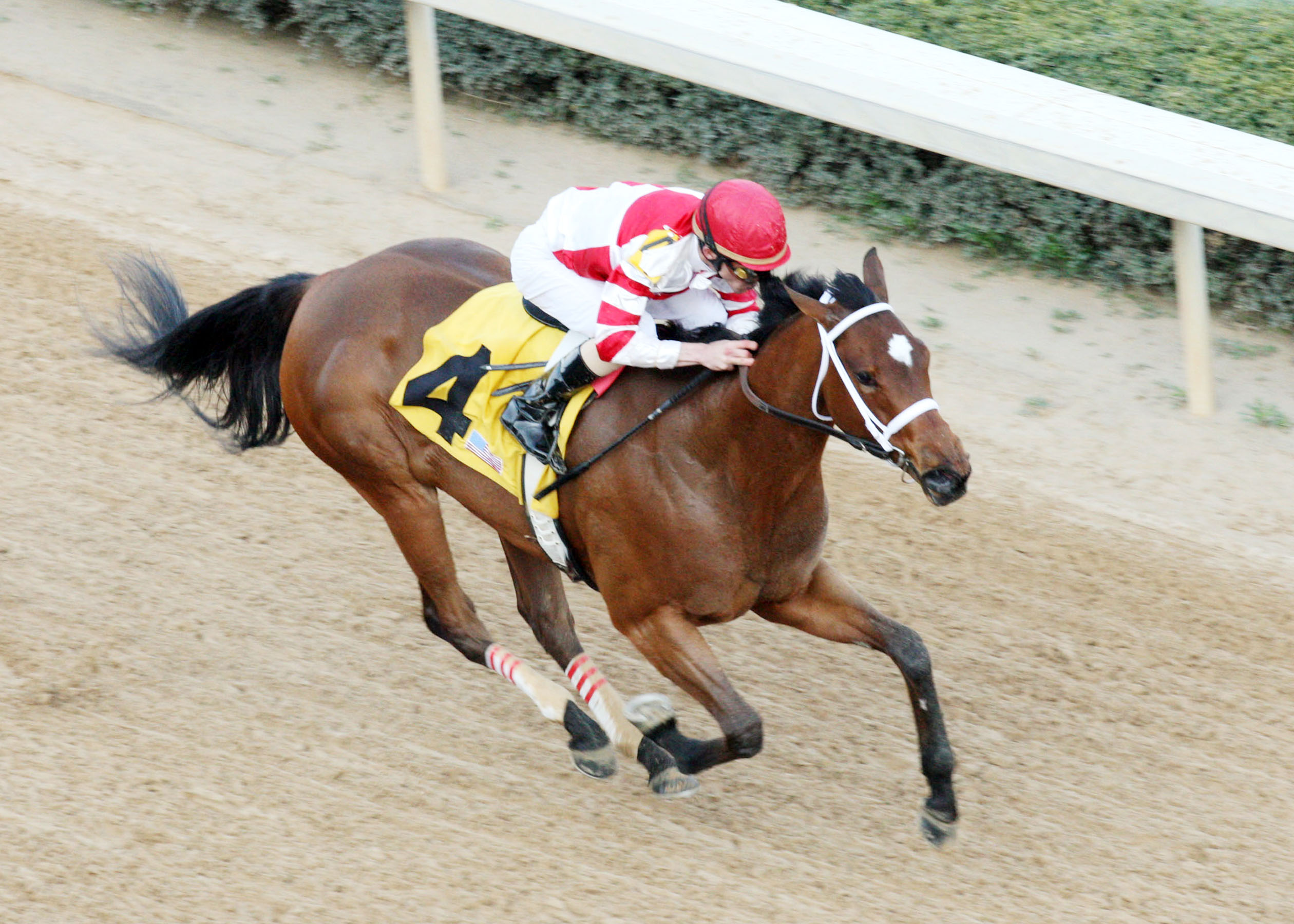 Havre de Grace/Azeri
