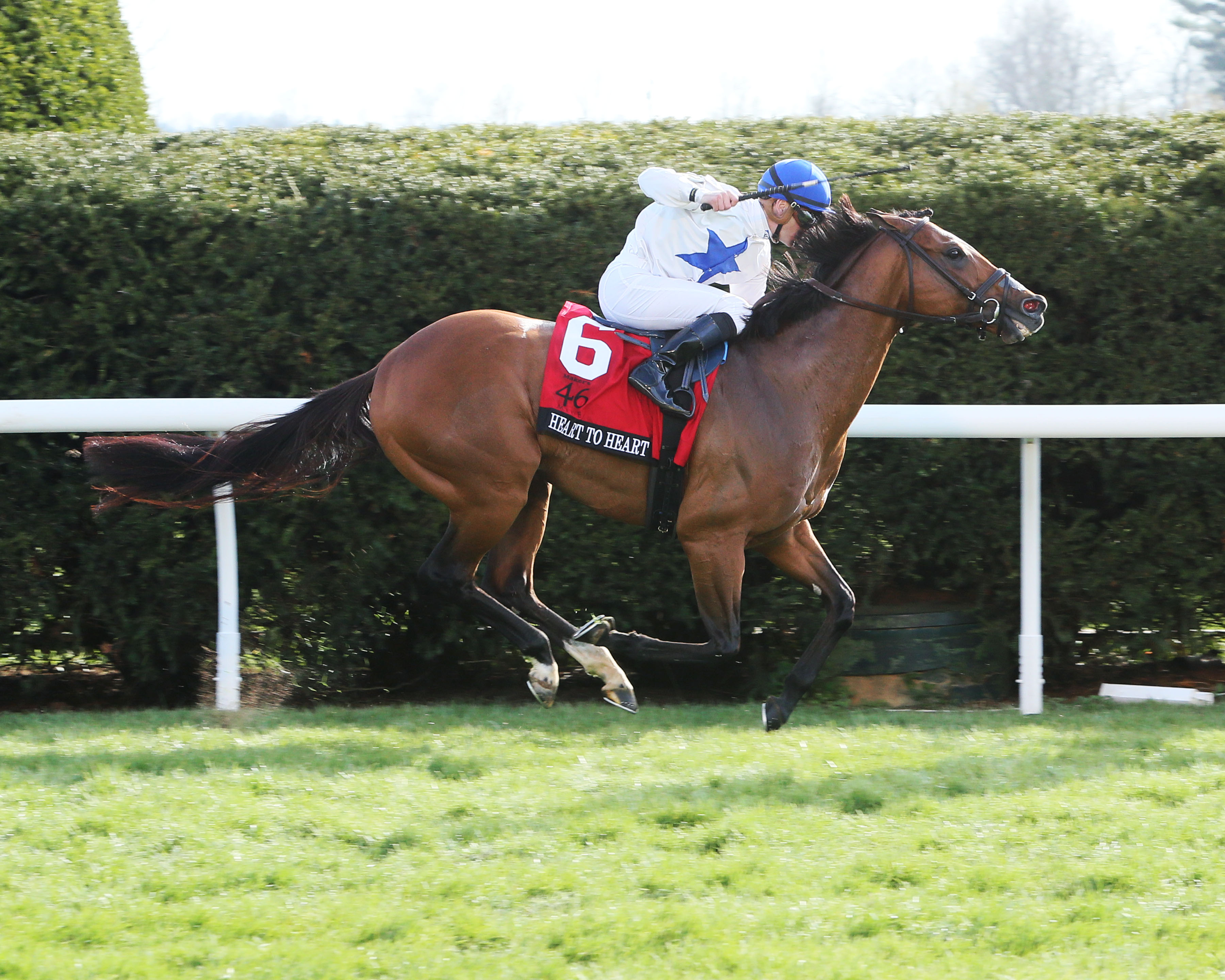 Heart to Heart wins the 2018 Maker-s 46 Mile