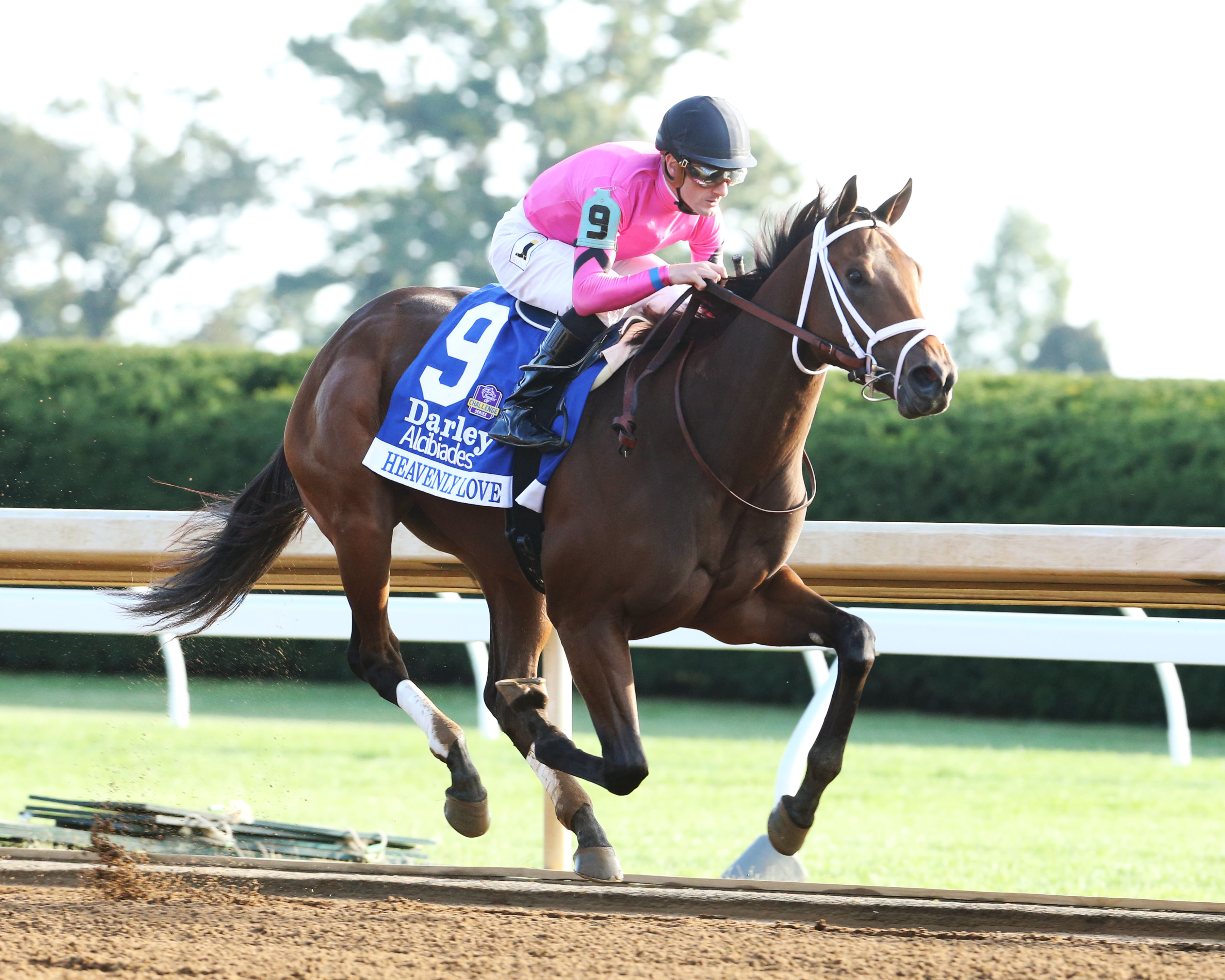Heavenly Love wins the 2017 Alcibiades Stakes at Keeneland