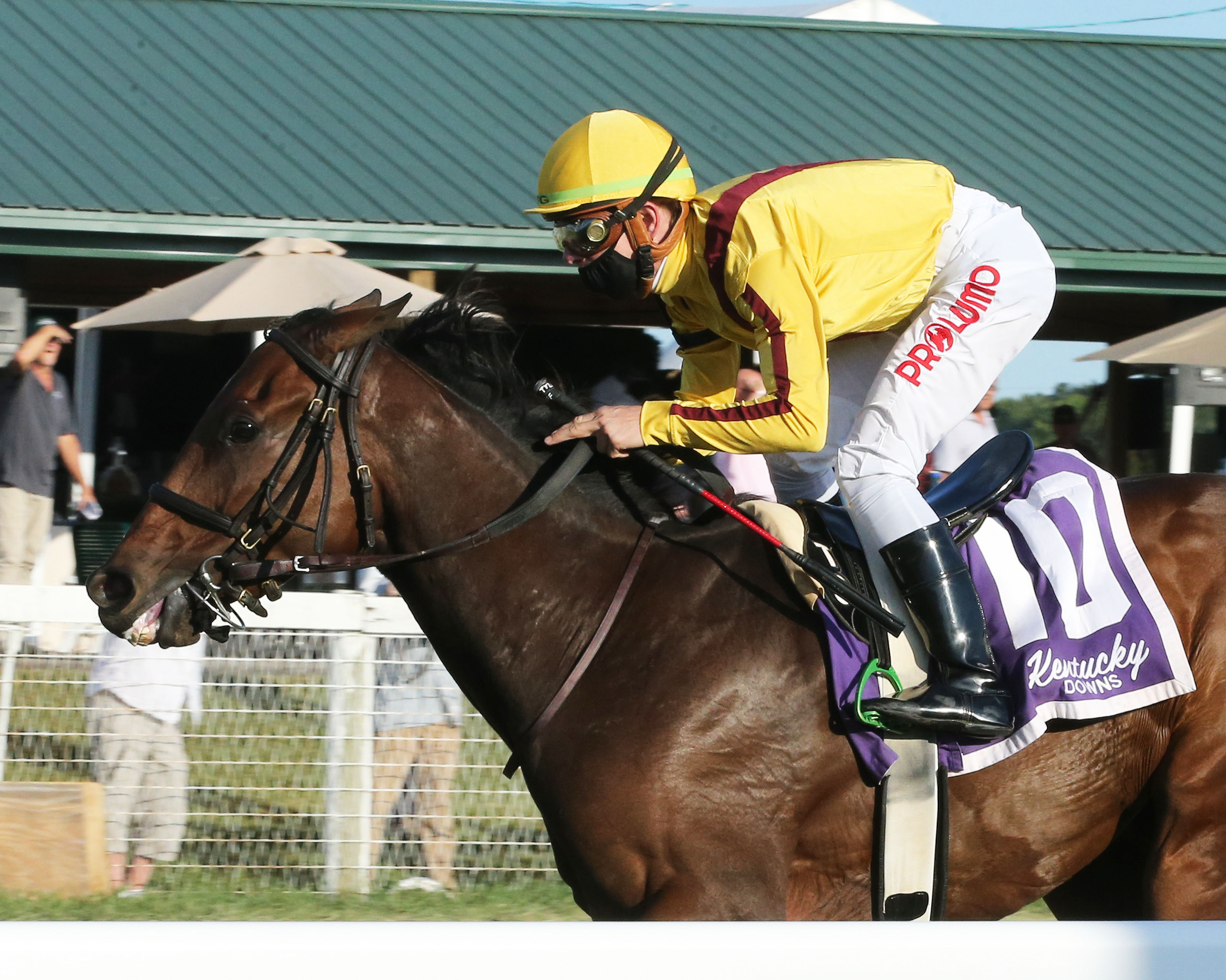 Hendy Woods/One Dreamer Stakes