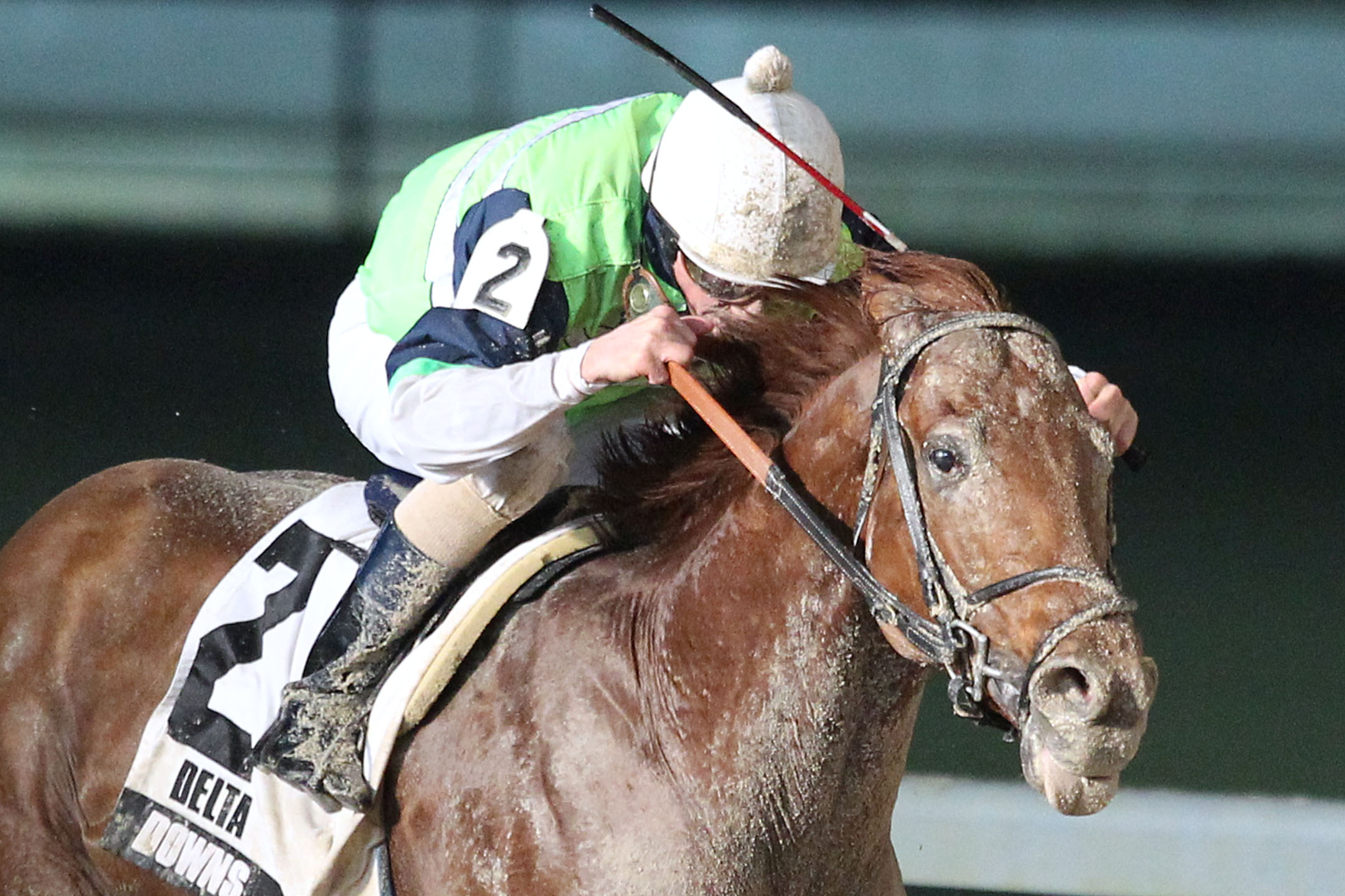 Hip Four Sixtynine wins 2015 Fremont