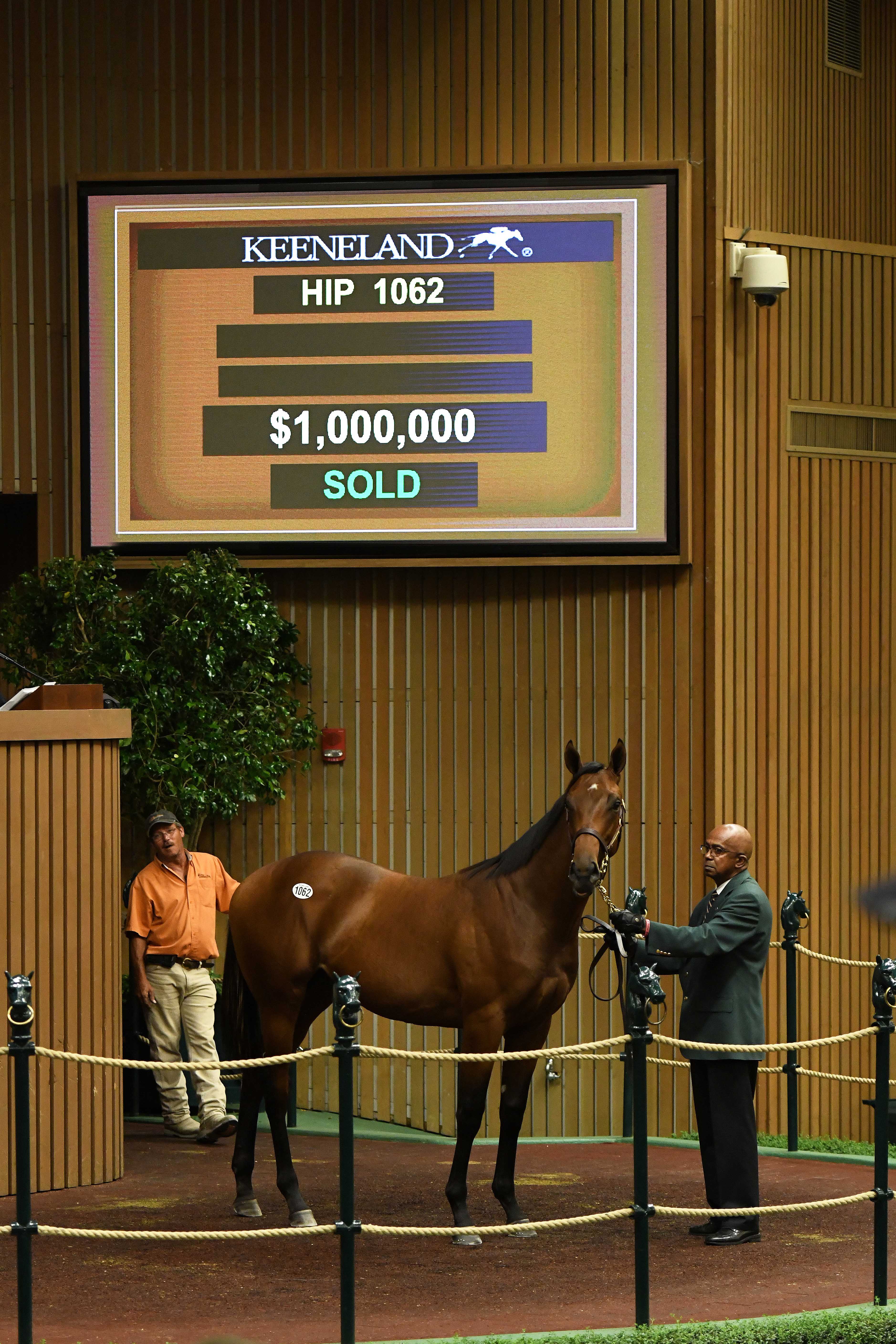 Keeneland September 2019 - Hip 1062 - Candy Ride out of Always a Princess