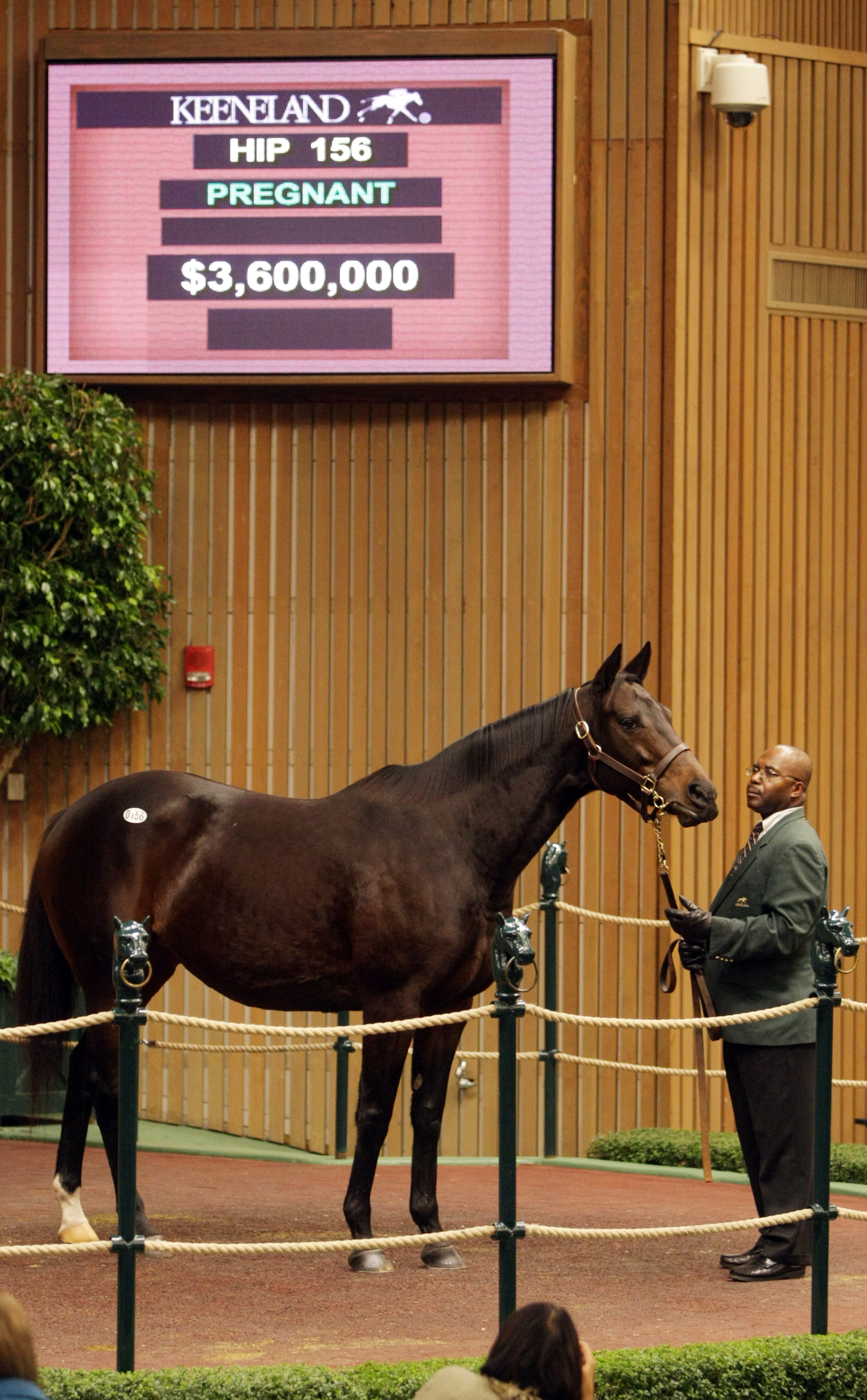 Keeneland November first session topper Naples Bay