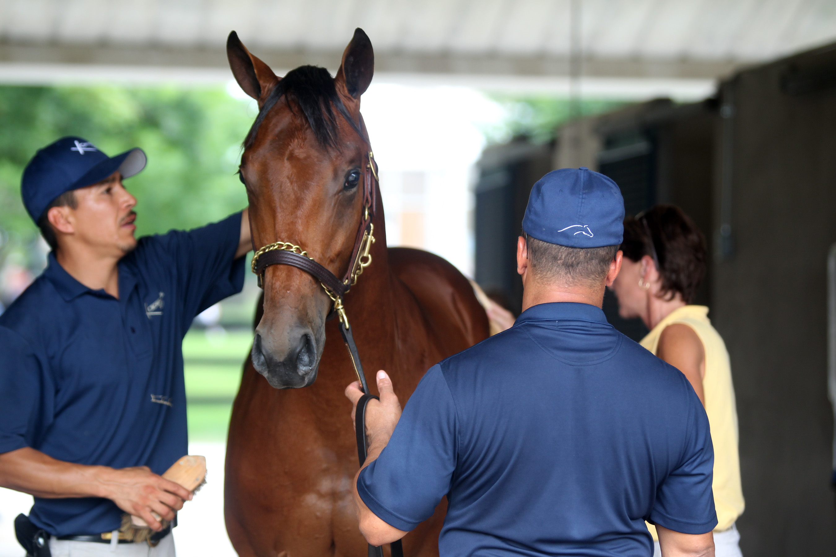 Hip No. 168 Fasig-Tipton July 2011