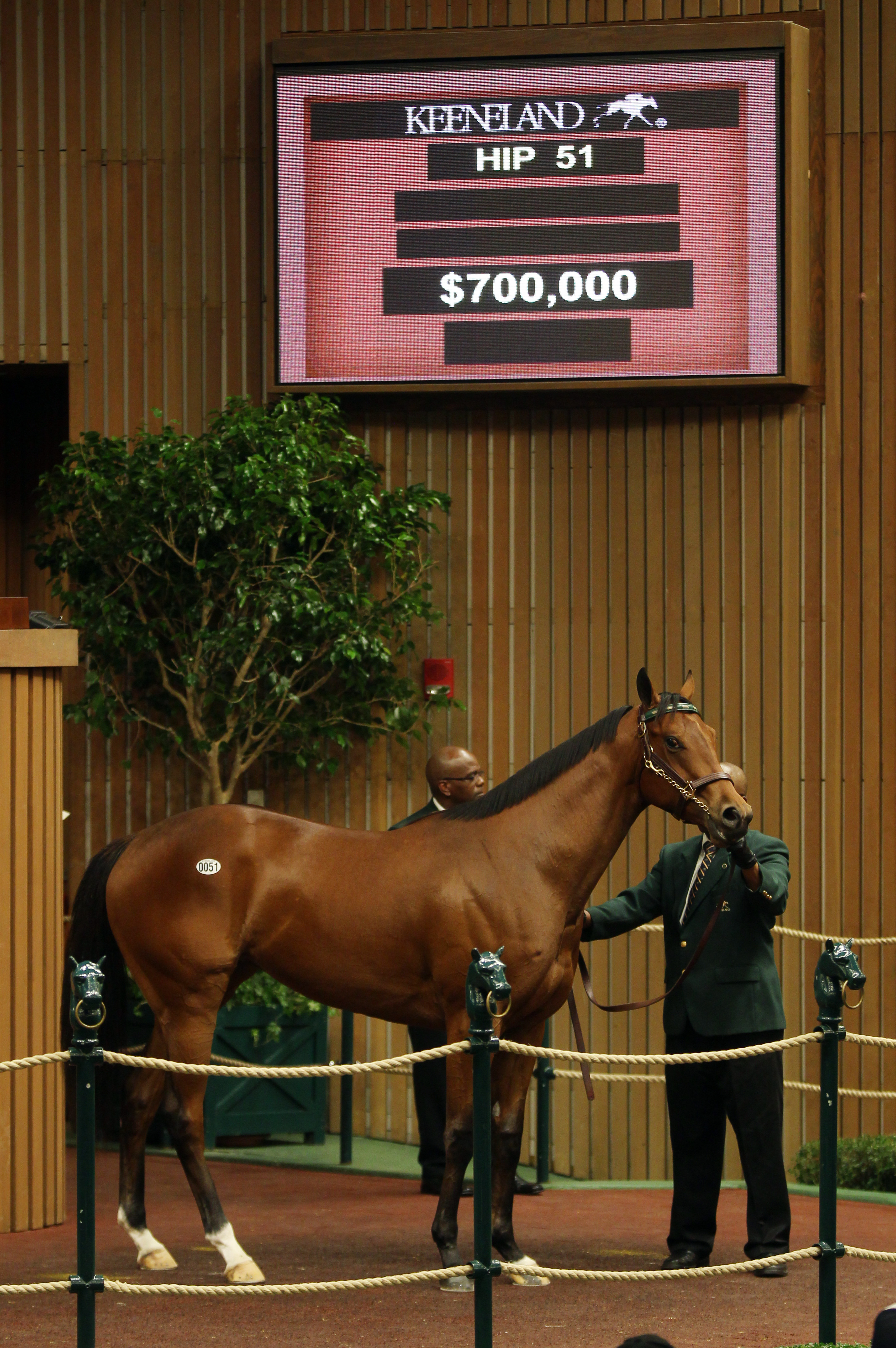 Keeneland April sale topper: Unbridled's Song filly