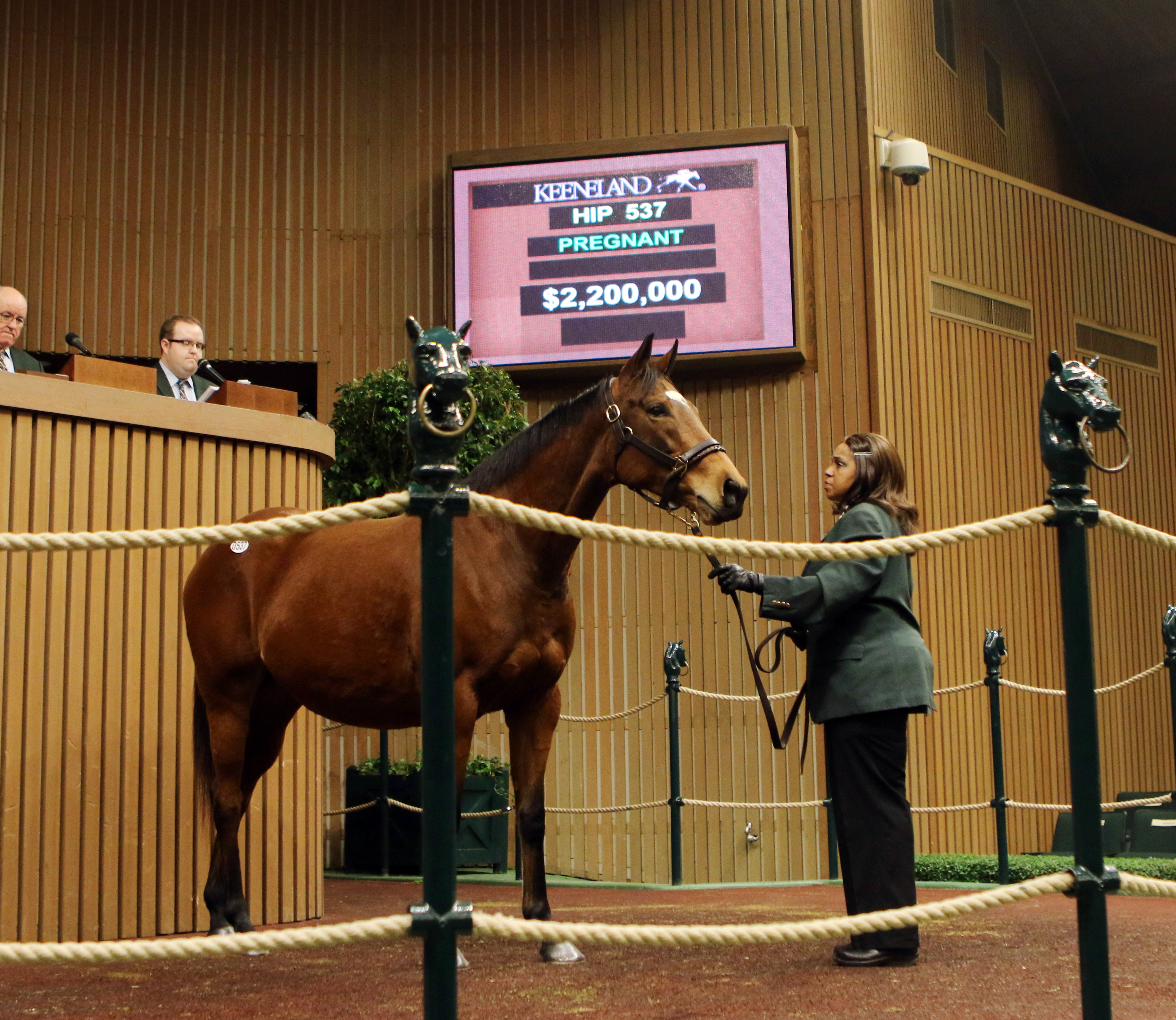Up sells for $2.2 million at Keeneland January sale