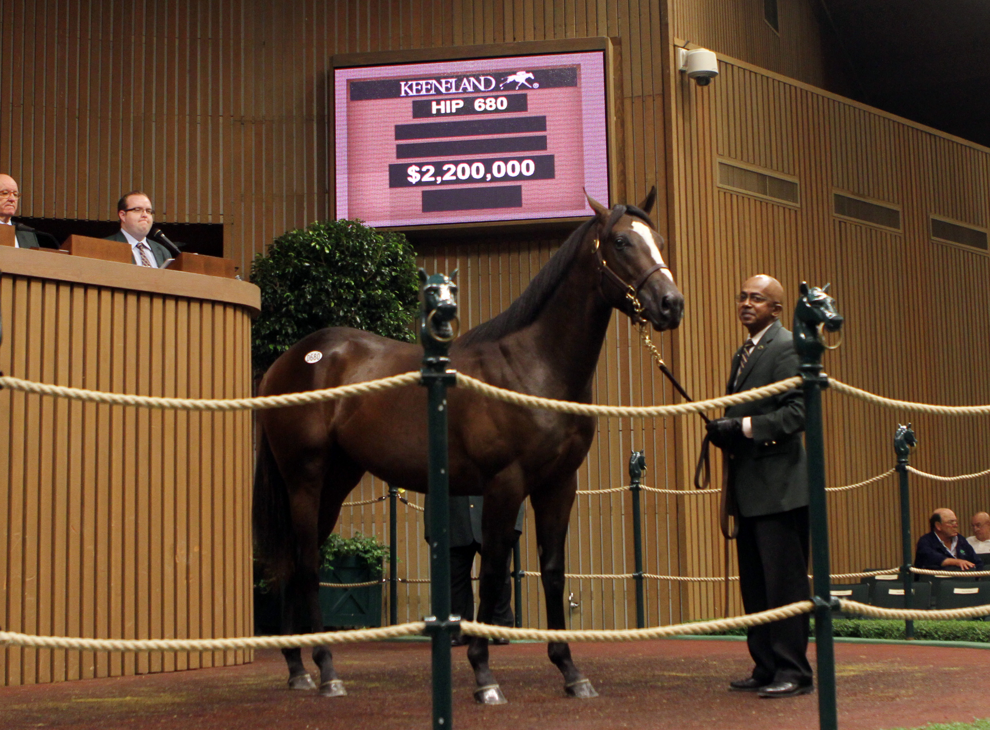 Keeneland September 2014 fourth session co-topper - War Front colt