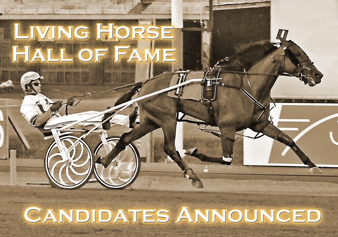 Living horse HOF