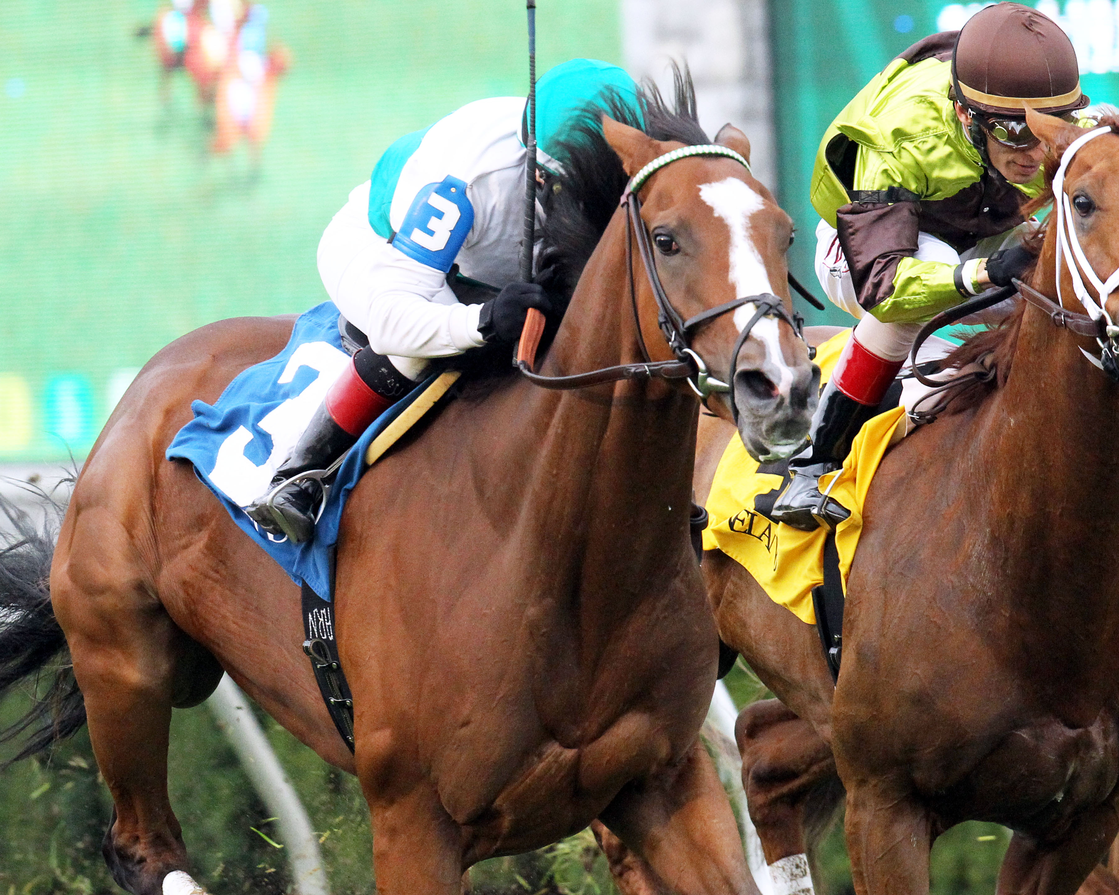 Holiday Star 10-16-2014