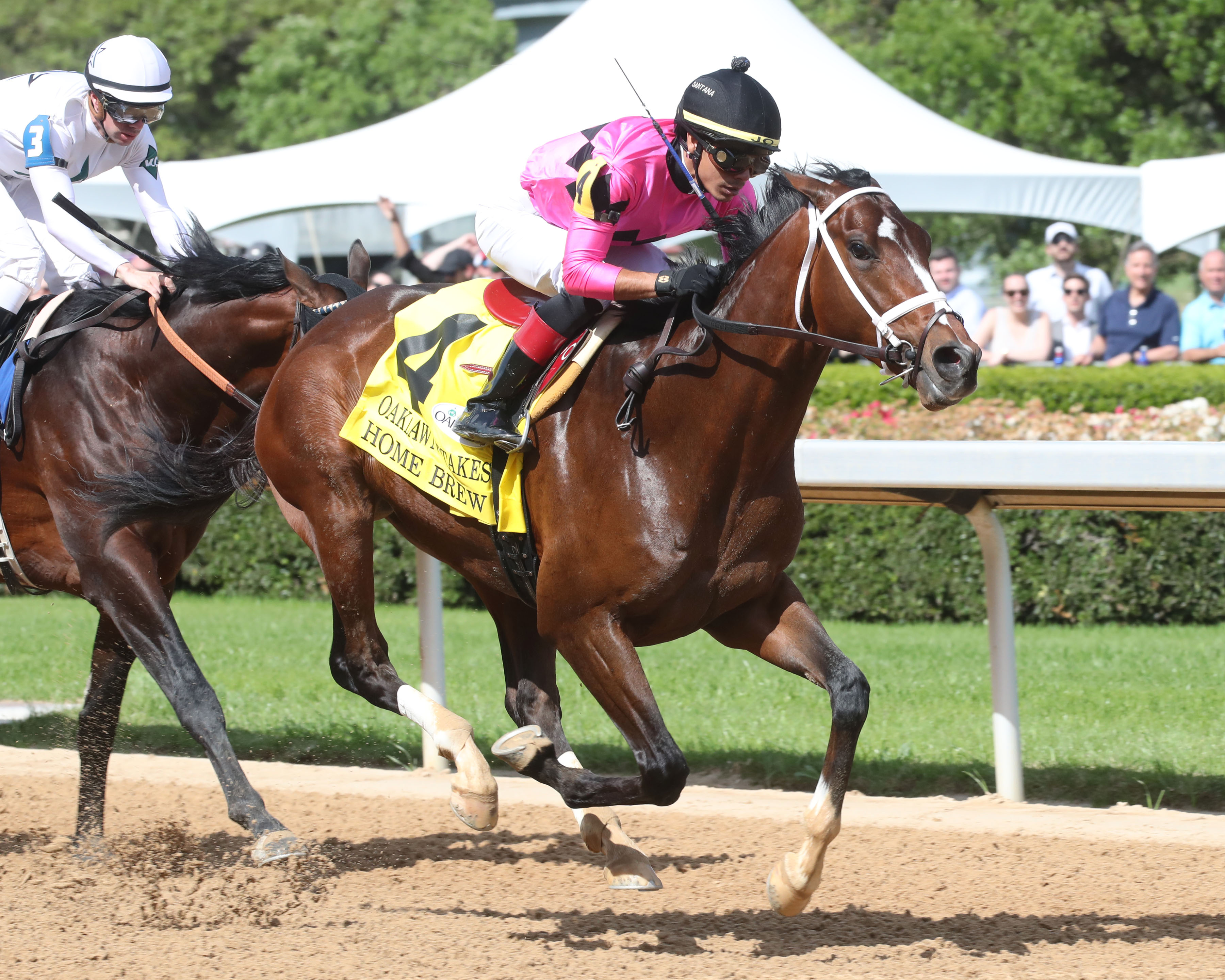 Home Brew wins Oaklawn Stakes 4-23-2022