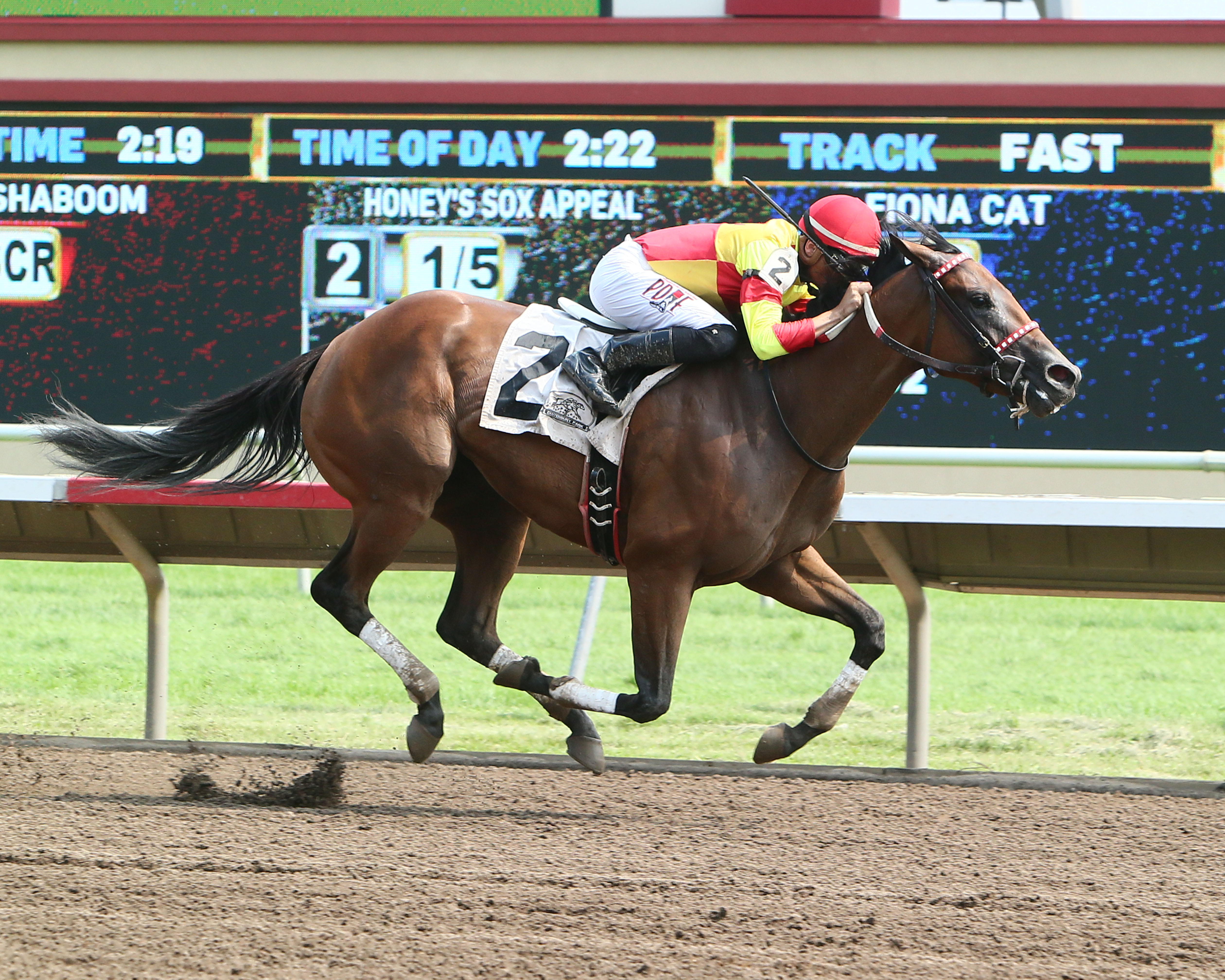Honey's Sox Appeal wins the Minnesota Distaff Sprint Championship Stakes 8.20.17