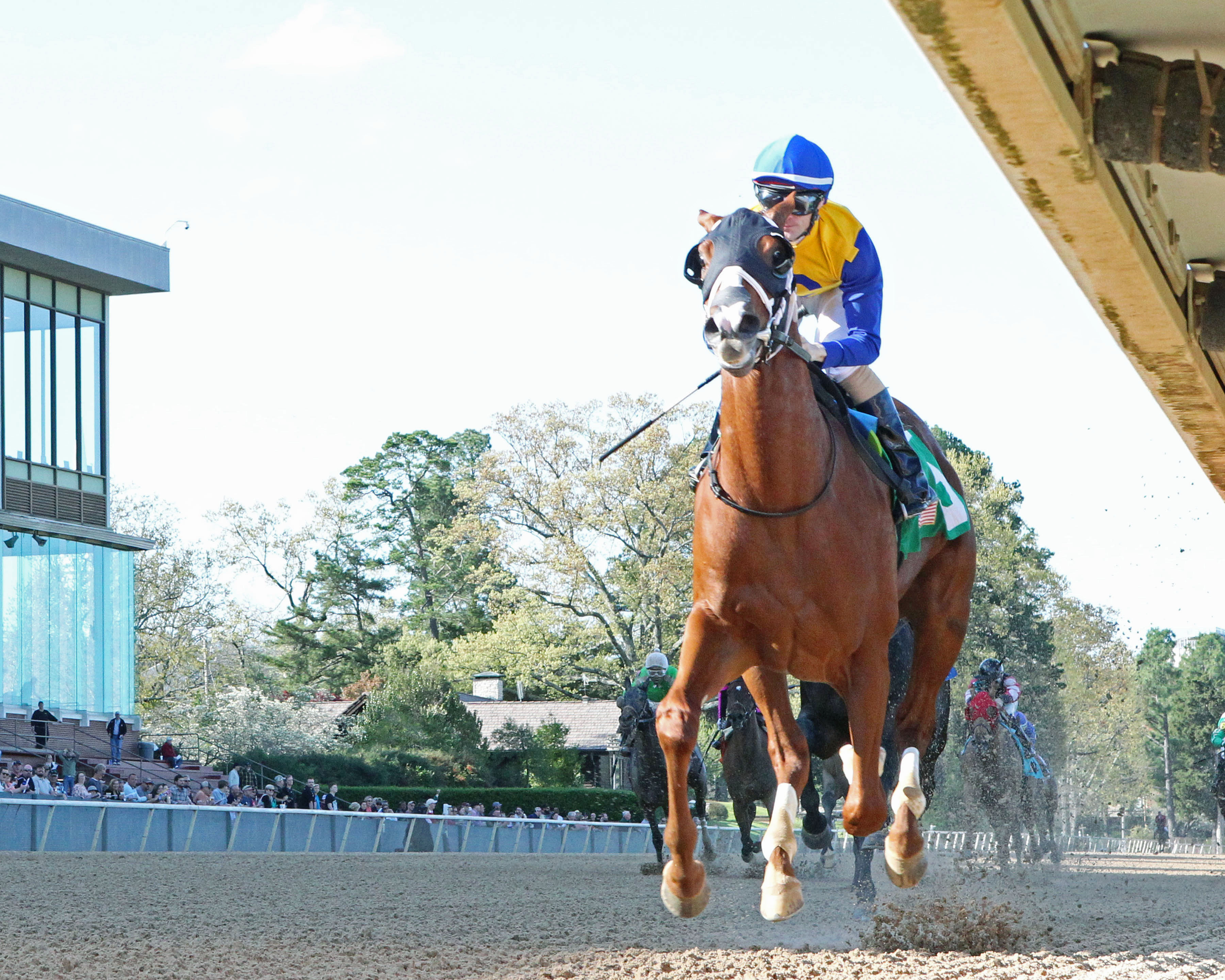 Hoonani Road wins 2018 Rainbow