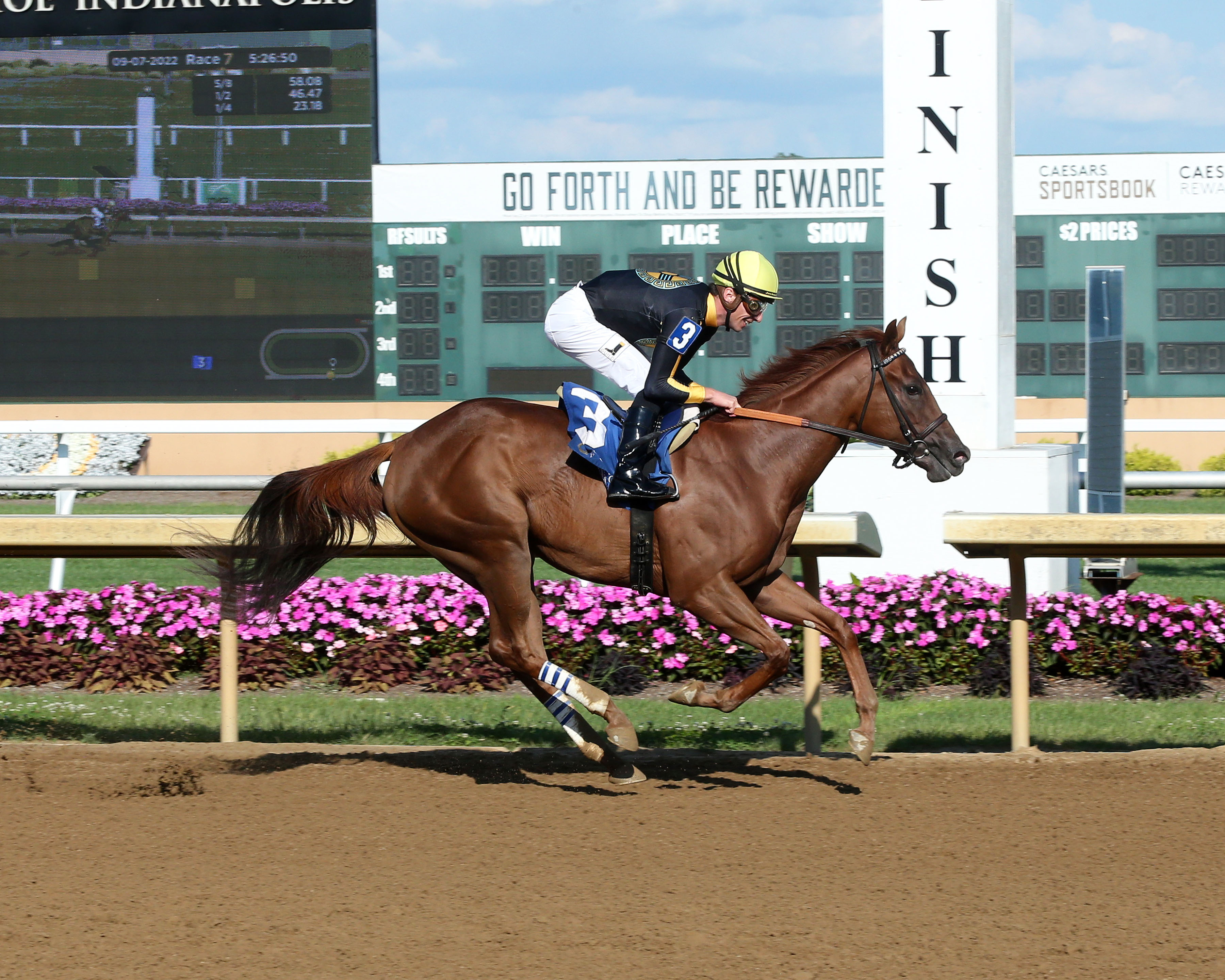 Hot Little Thing/Back Home Again Stakes