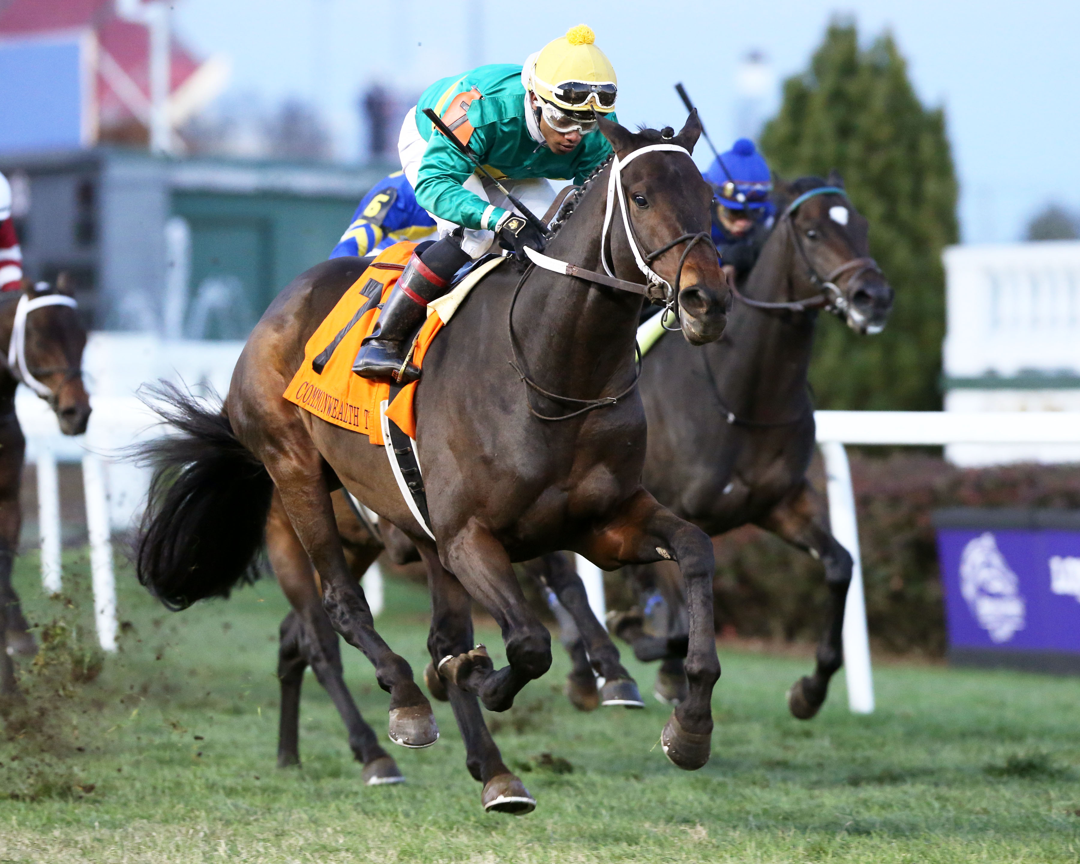 Hot Springs wins the 2018 Commonwealth Turf