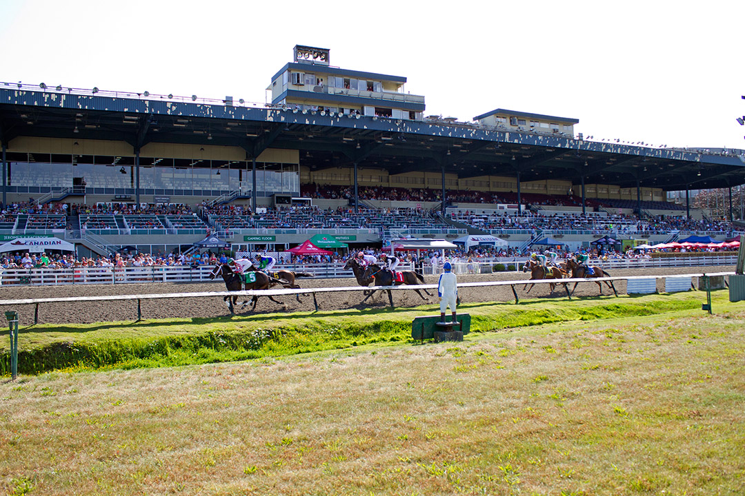 Hastings Racecourse 2016