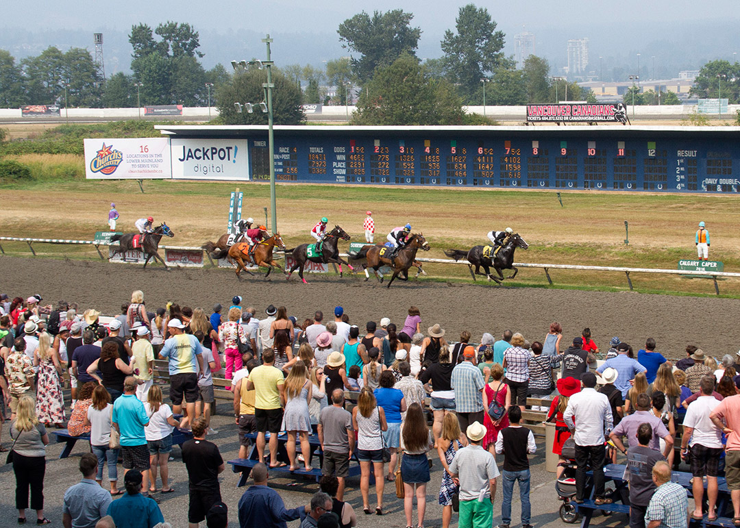 Hastings Racecourse, 2017