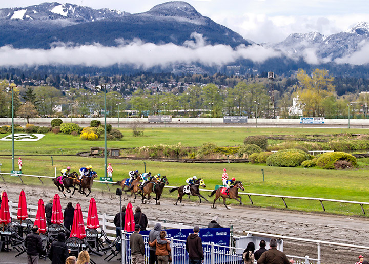 Hastings Racecourse 2013