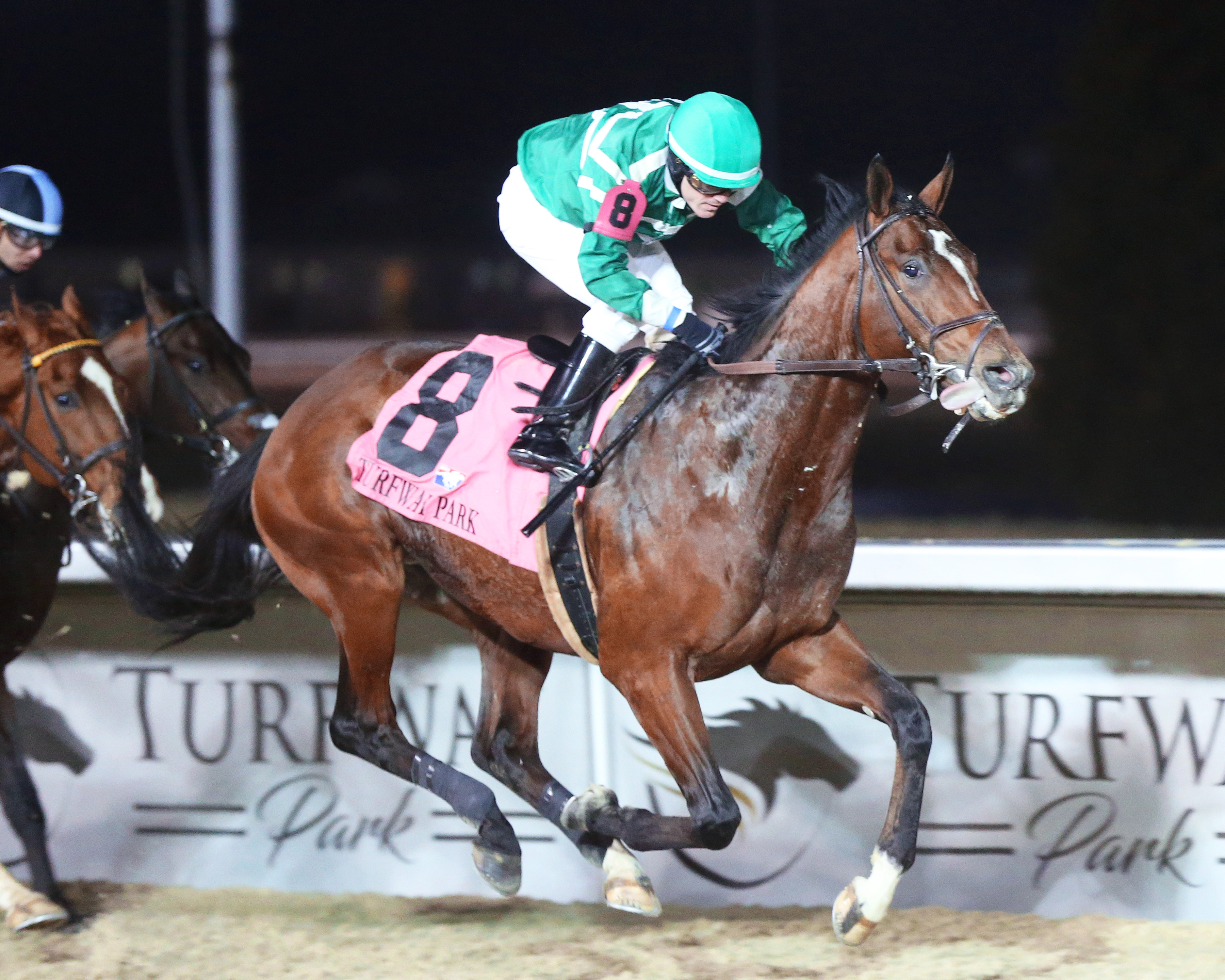 HUSH OF A STORM - The 39th Running of The John Battaglia Memorial