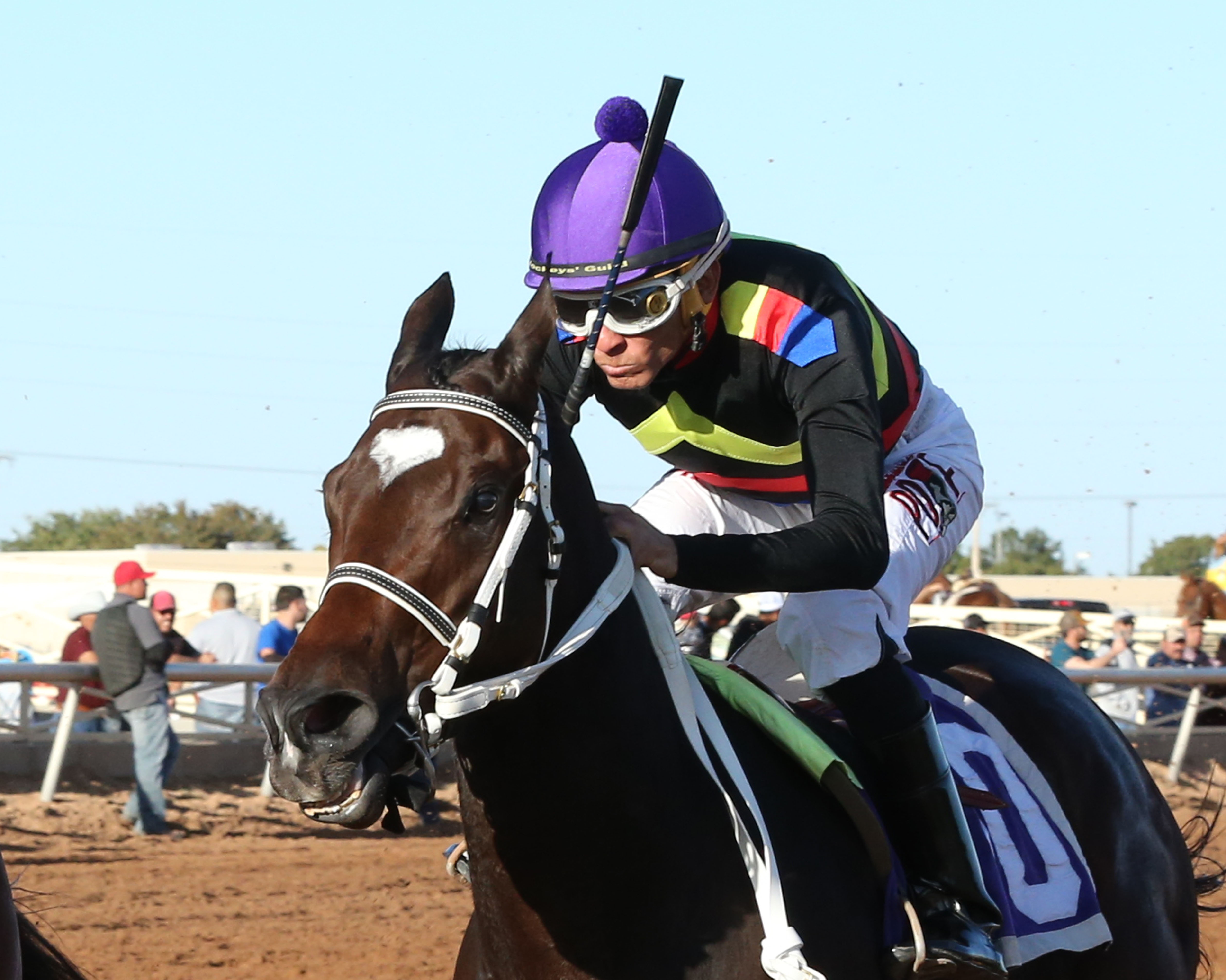 Hustle Up wins the 2019 NM Rocky Gulch Classic Cup