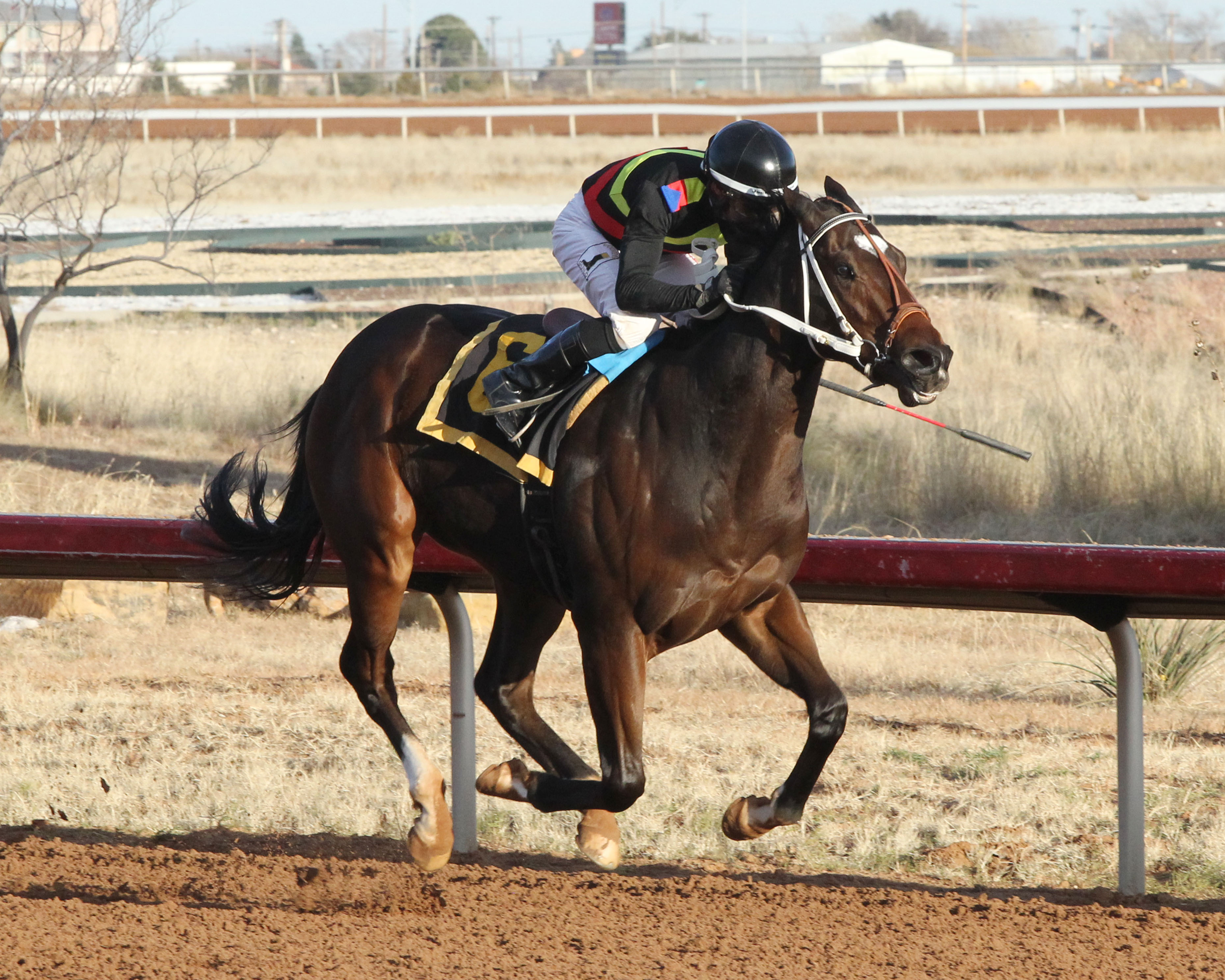 Hustle Up wins the 2018 Steve Prather Stakes