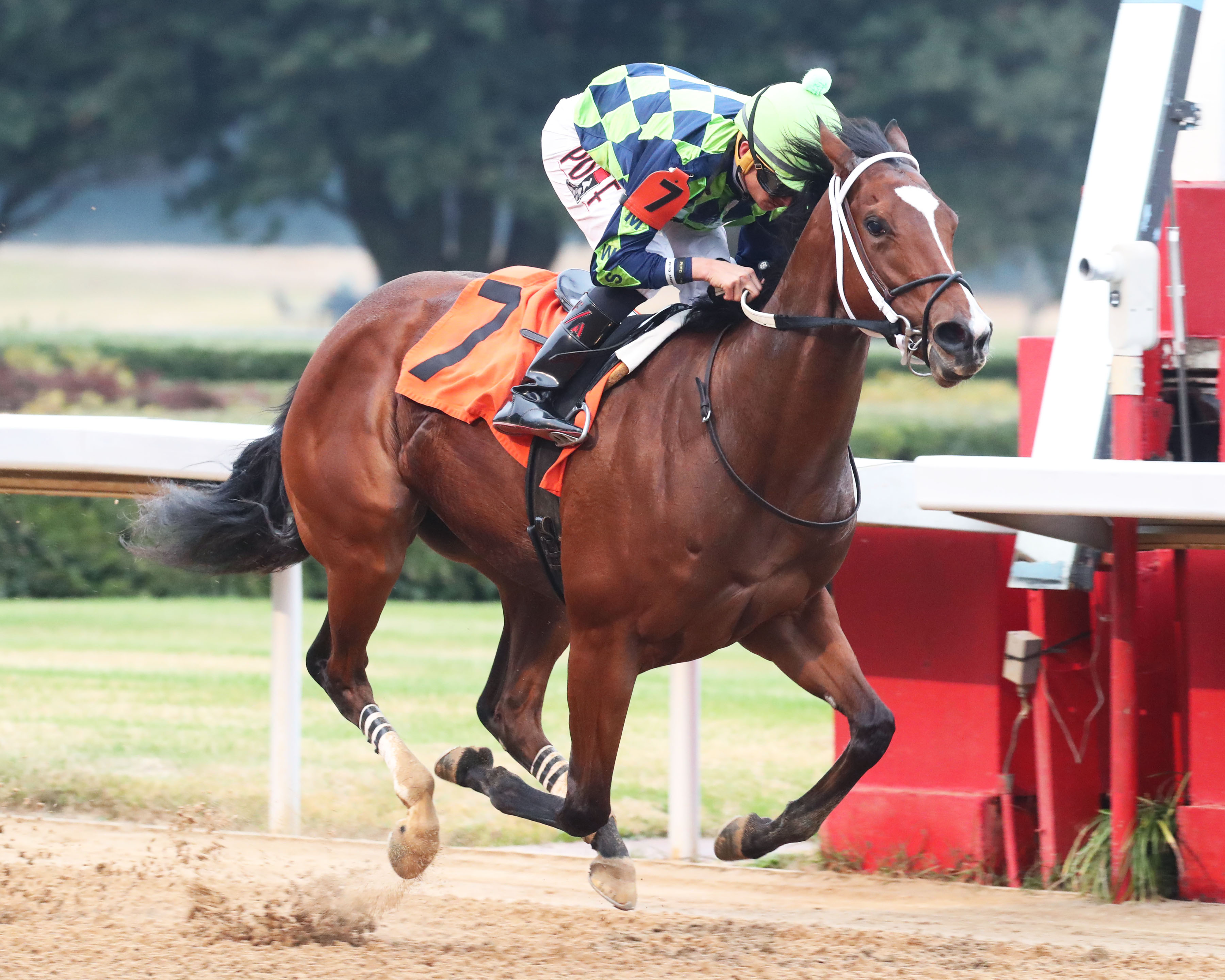 HYPERSPORT impresiona en Oaklawn Park