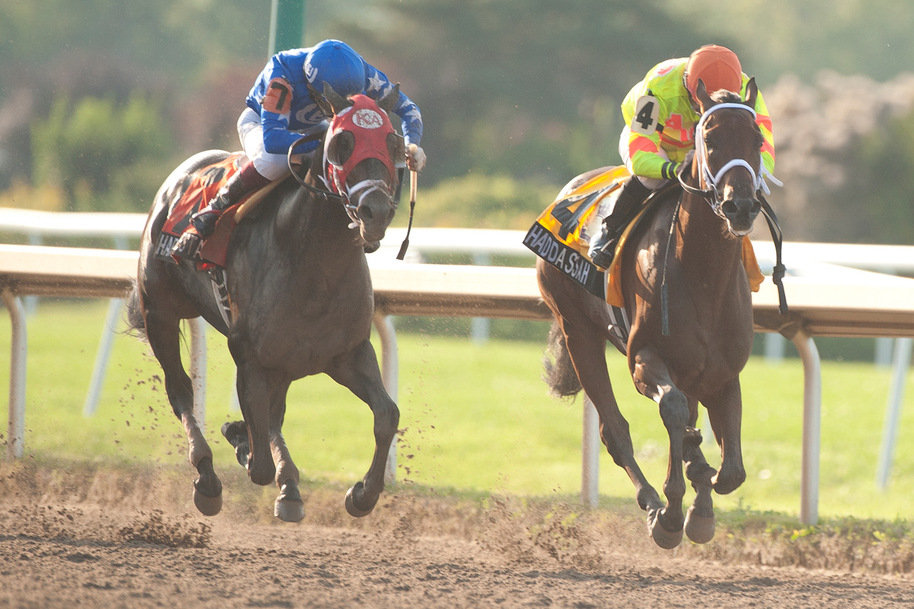 Haddassah (right) holds Harlan Estate at bay by a half-length in the Prince of Wales.9-14-2021