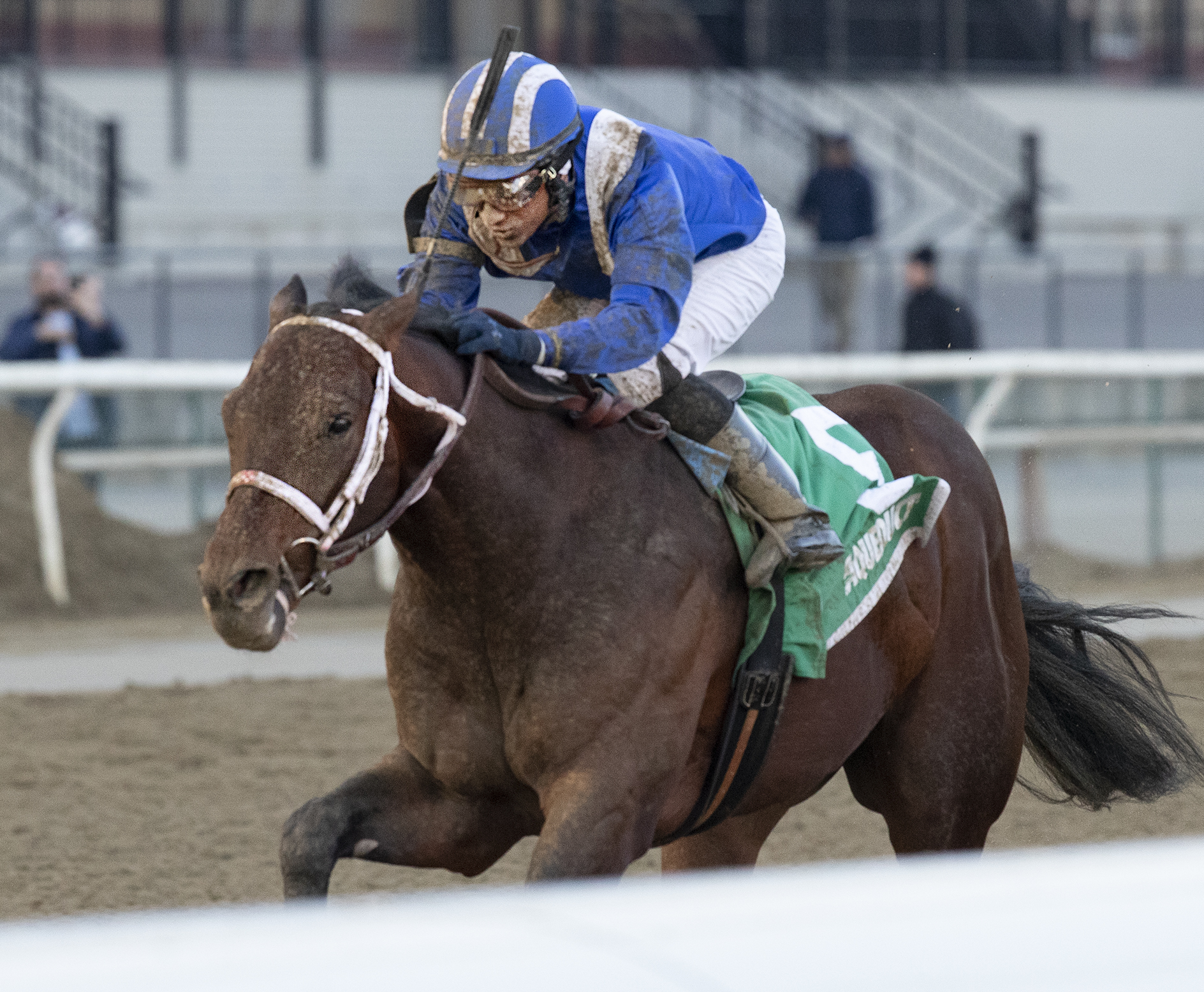 Haikal wins 2019 Gotham Stakes