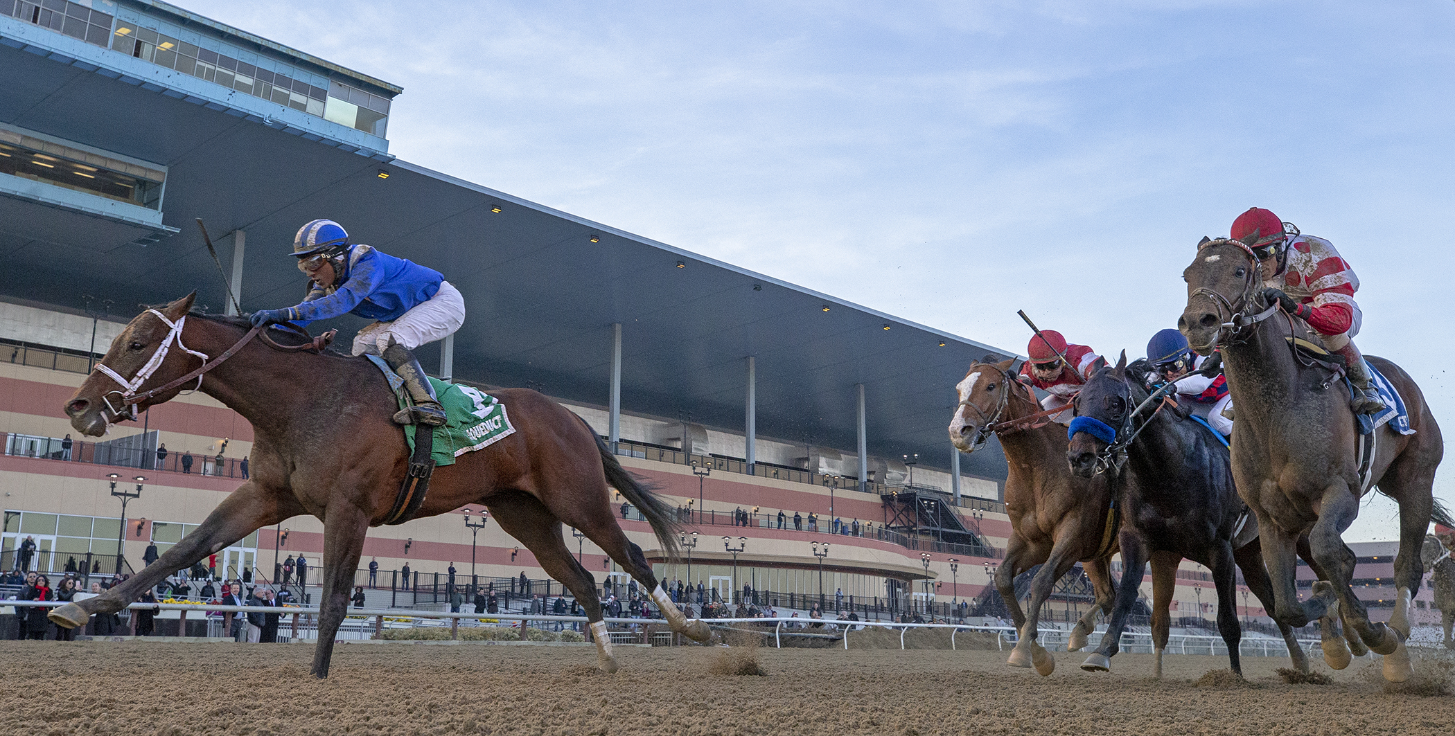 Haikal wins the 2019 Gotham Stakes