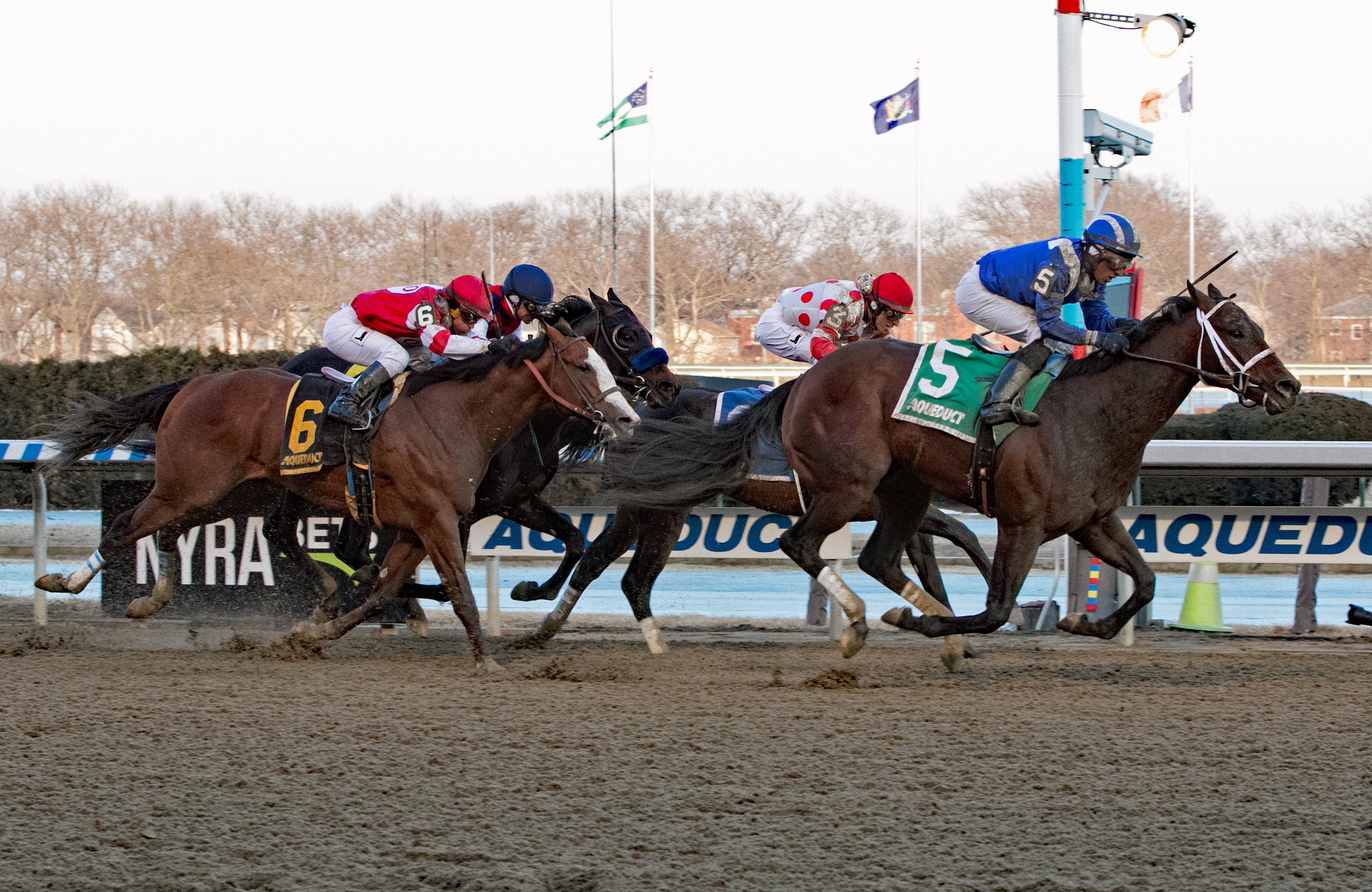 Haikal wins the 2019 Gotham Stakes