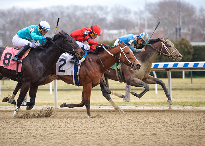 Haikal wins a Dec. 15 maiden race
