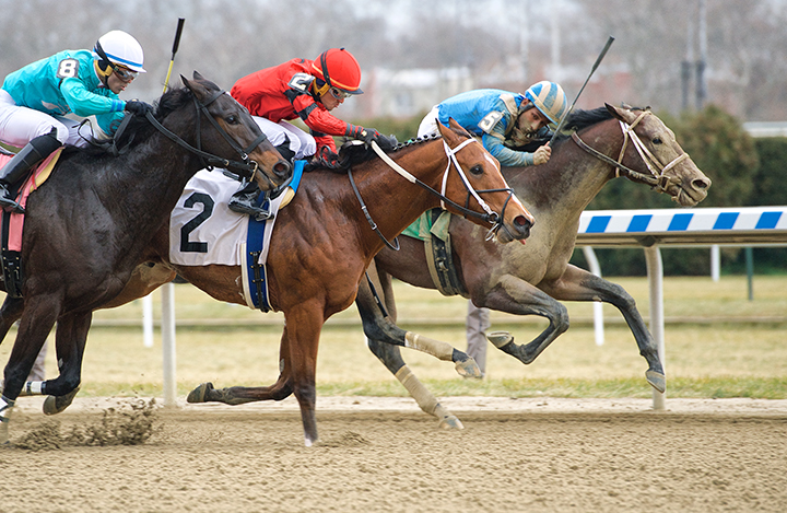 Haikal wins a Dec. 15 maiden race