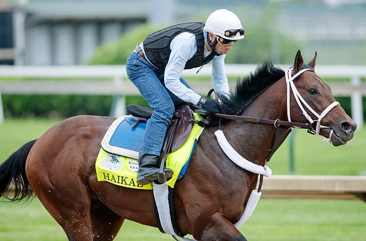 Haikal trains at Churchill Downs on April 30