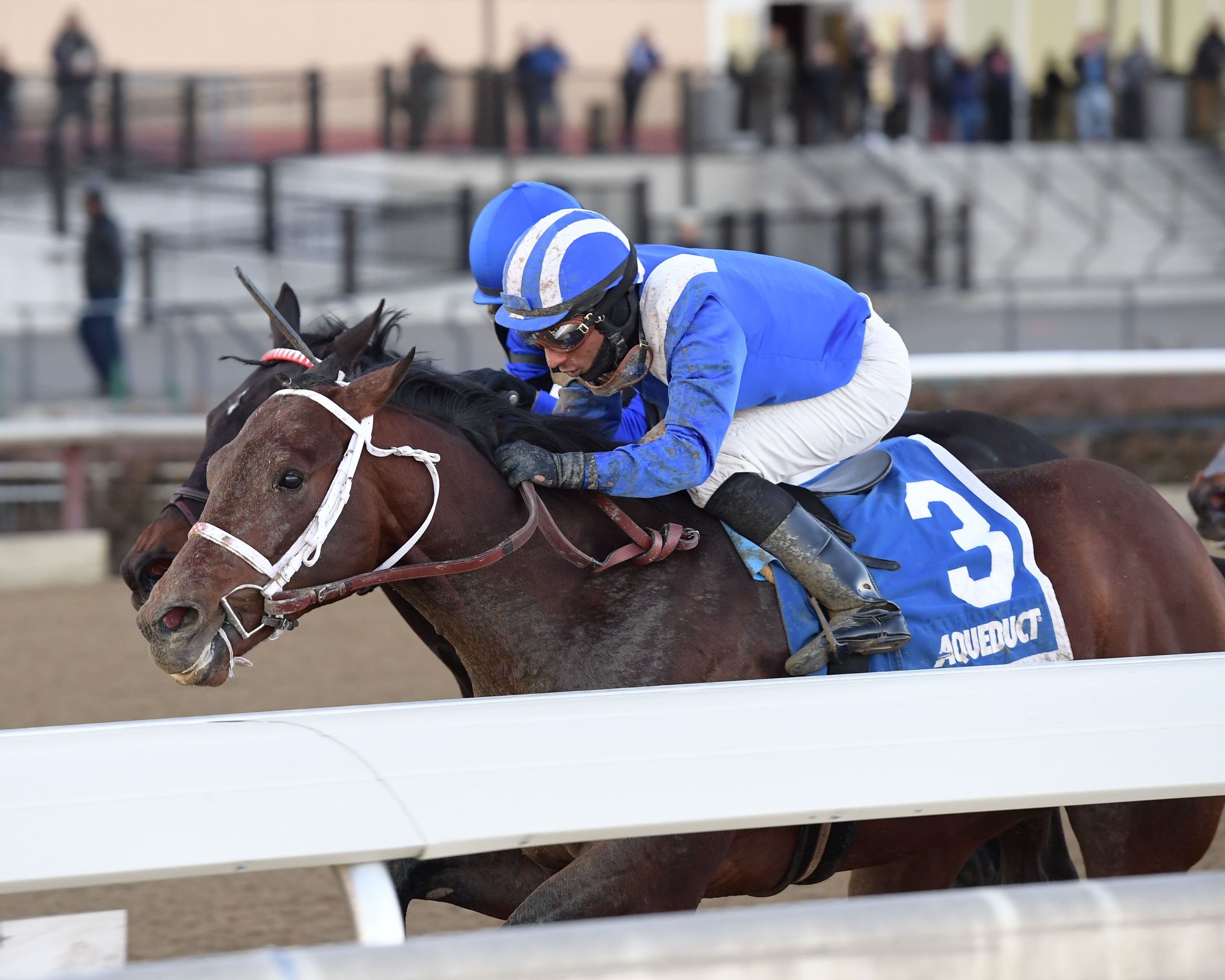Haikal (No. 3) wins the 2019 Jimmy Winkfield Stakes