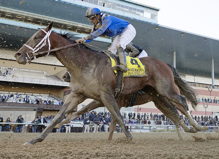 Haikal finishes third in the 2019 Wood Memorial at Aqueduct Racetrack