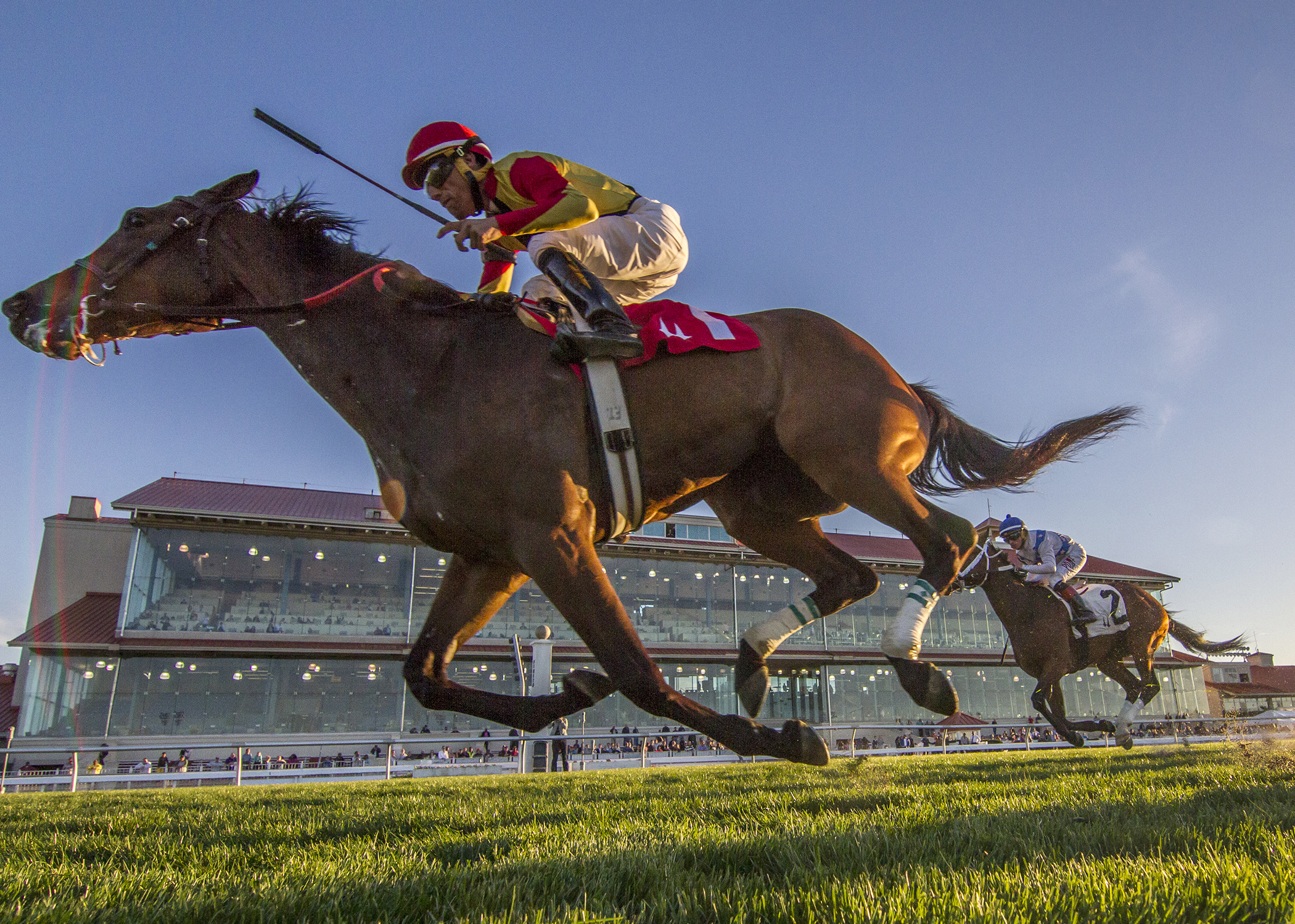 Hail to the Nile wins the Dixie Poker Ace Stakes