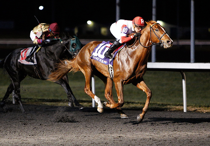 Hail to the Chief wins a Dec. 28 maiden race at Turfway Park