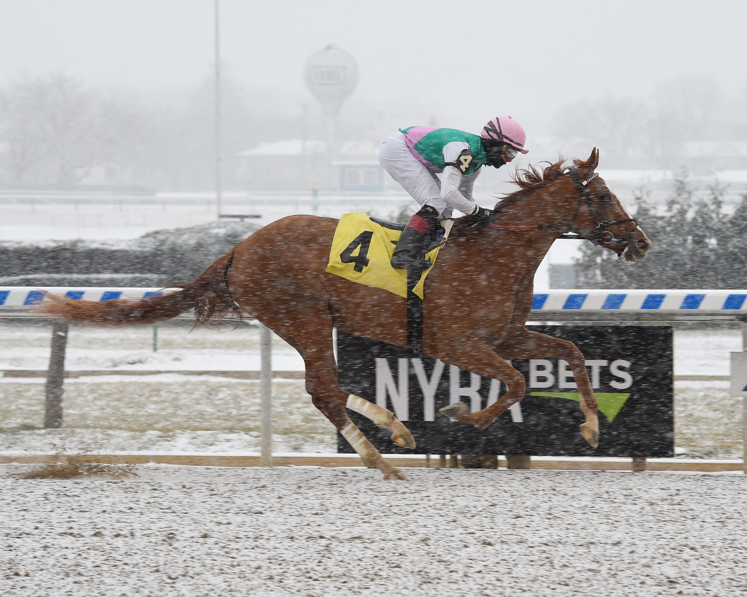 Hail wins a Dec. 30 maiden race at Aqueduct