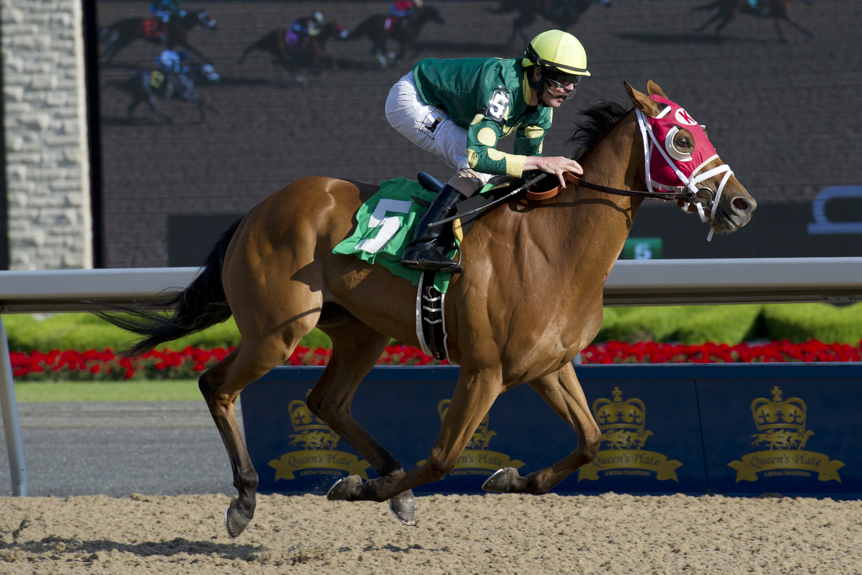 Hailey's Prize wins a maiden race