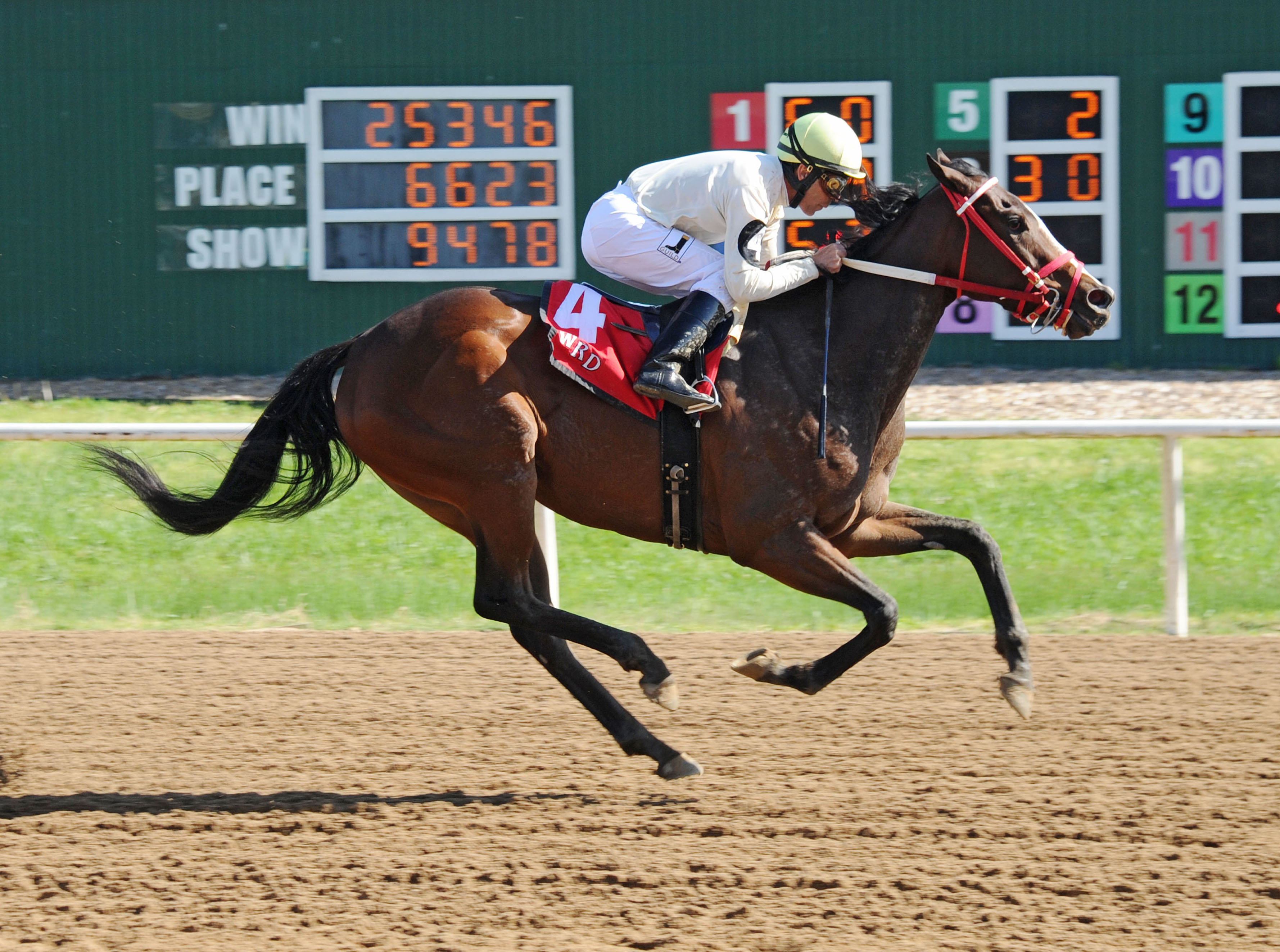 Hailstorm Slew wins the Great Lady M Stakes